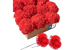Royal Imports Artificial Carnations: Lifelike Blooms for Every Occasion