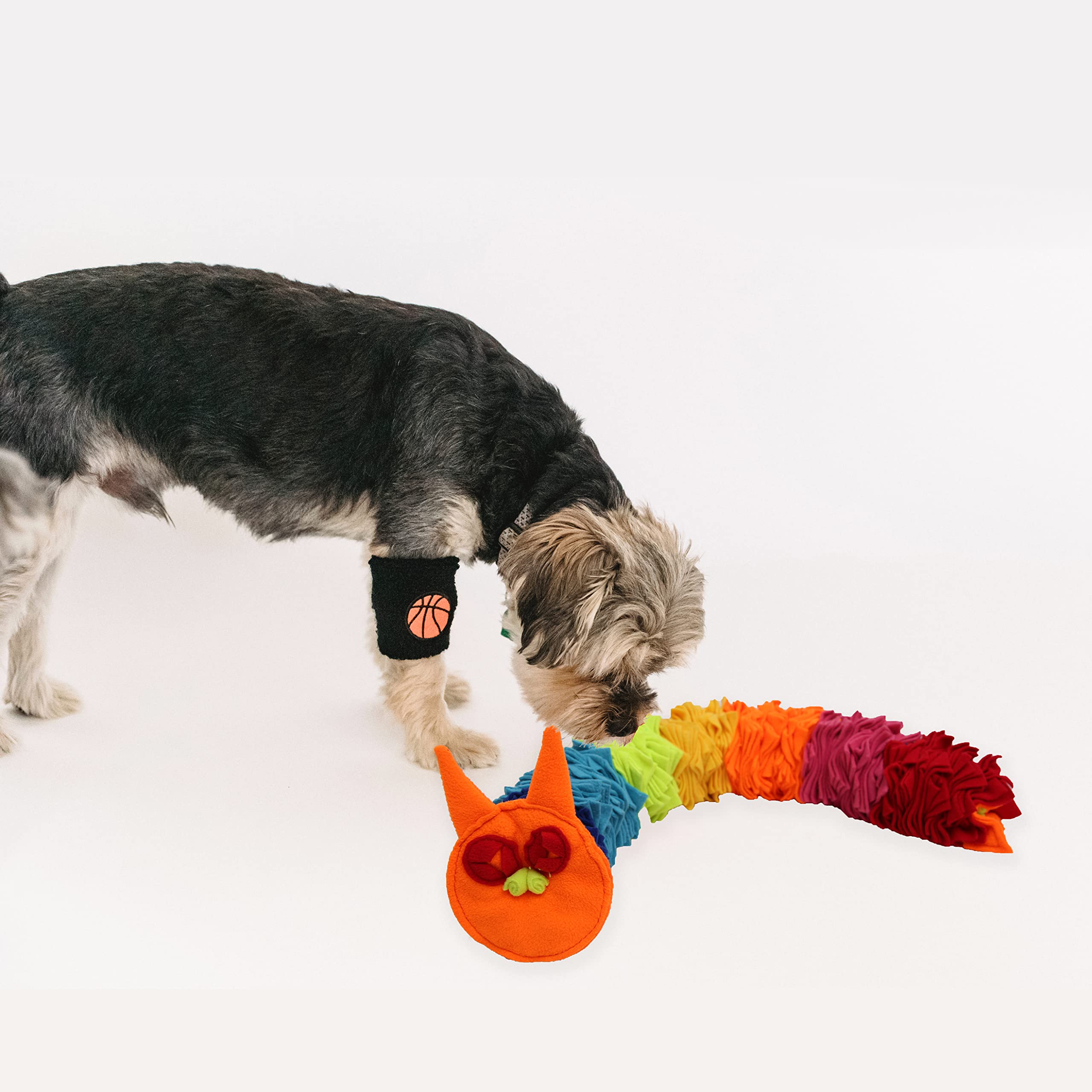 Ablechien Rainbow Interaktives Hundespielzeug Schnüffelschlange Puzzle Spielzeug für geistige Stimulation und Bereicherung