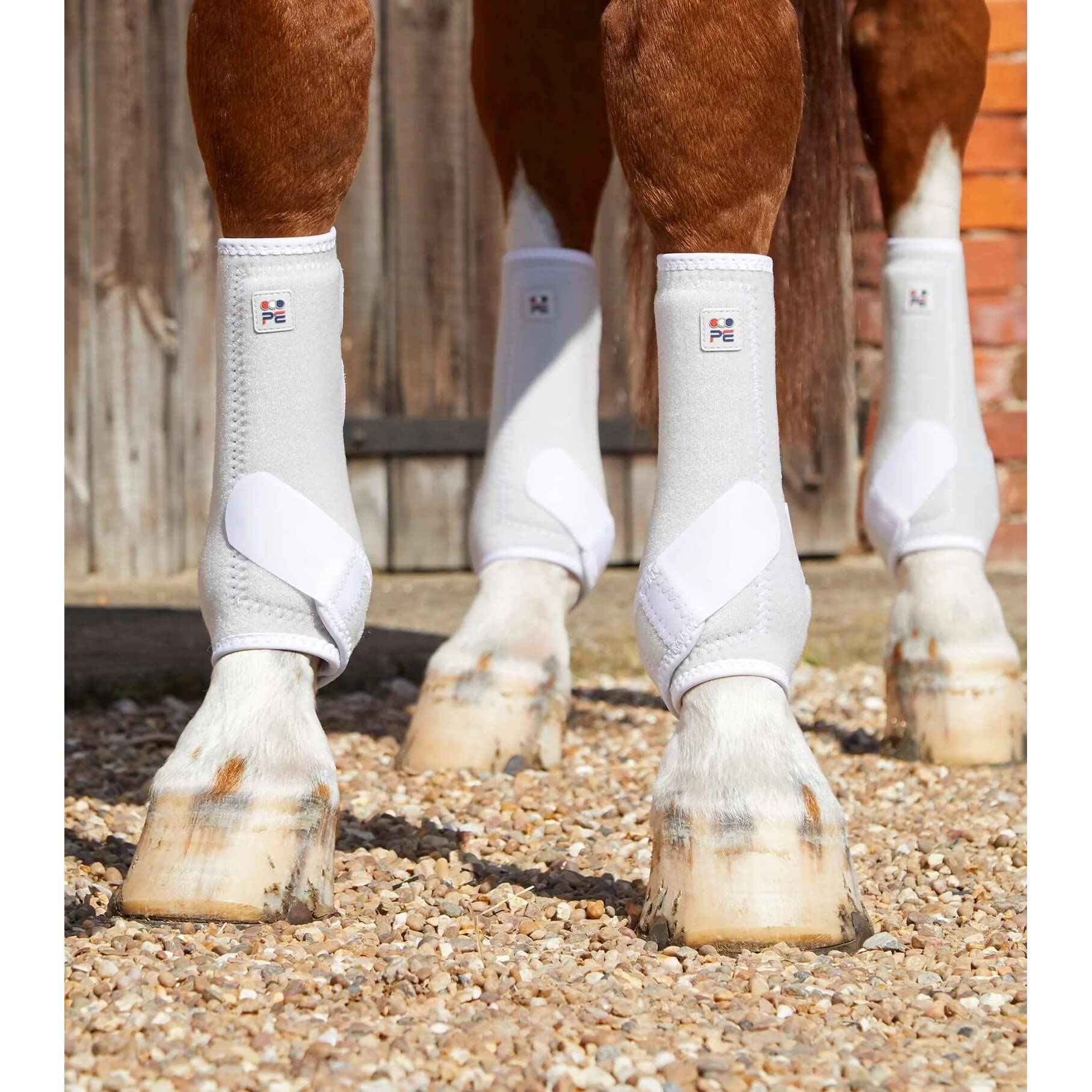 Premier equine Bottes de tendon Carbon Tech Air Cooled