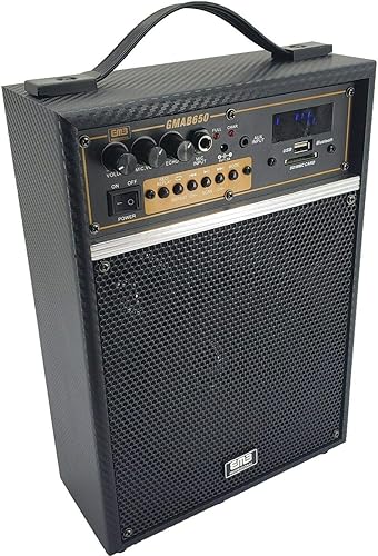 EMB -Amplificador de guitarra recargable de potencia máxima de 300 vatios Combo de altavoz Bluetooth incorporado para transmisión de audio