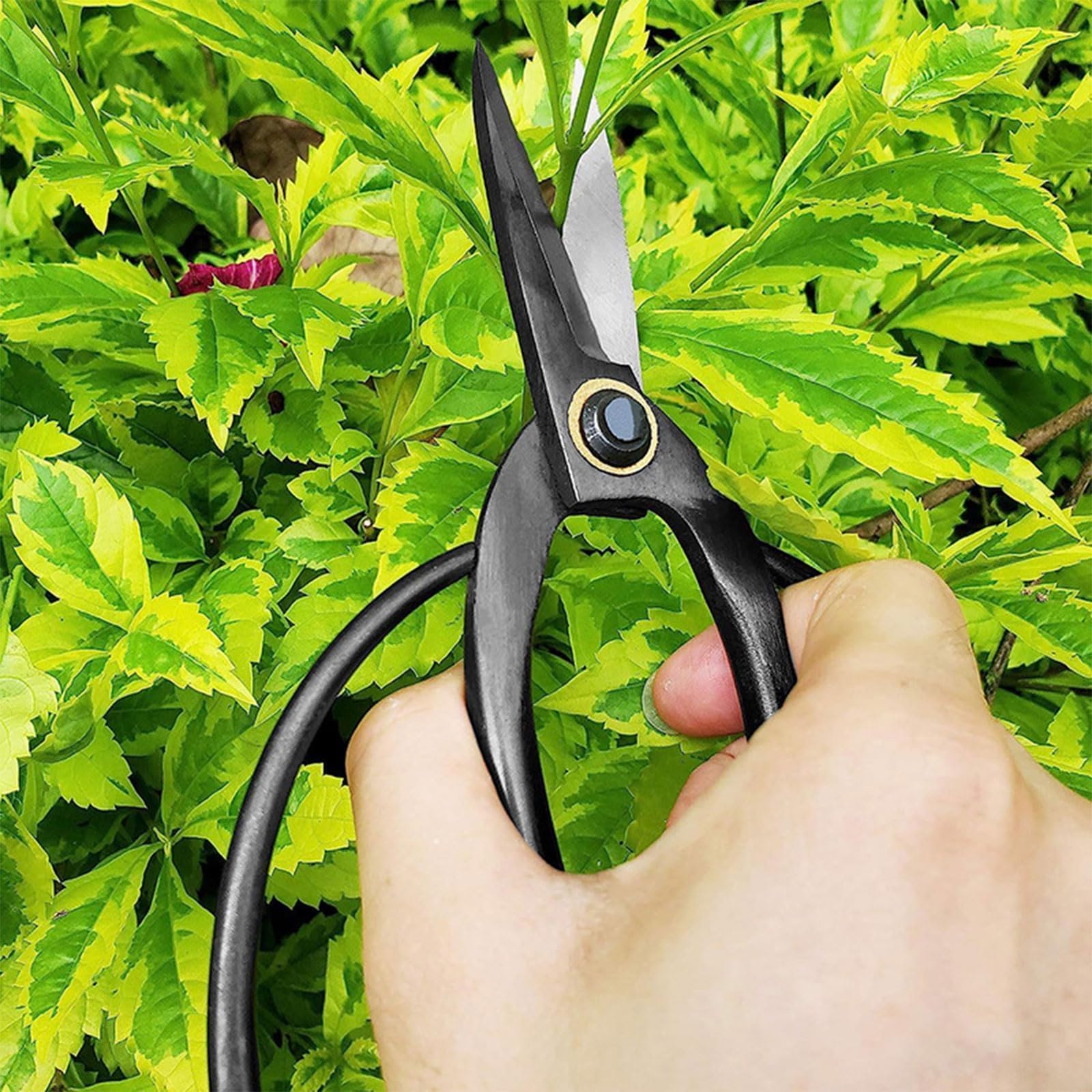 Scharfe Bonsai Schere aus Stahl Traditionelles Design Formende Schnitte Knospen Blätter Äste Gartenarbeit