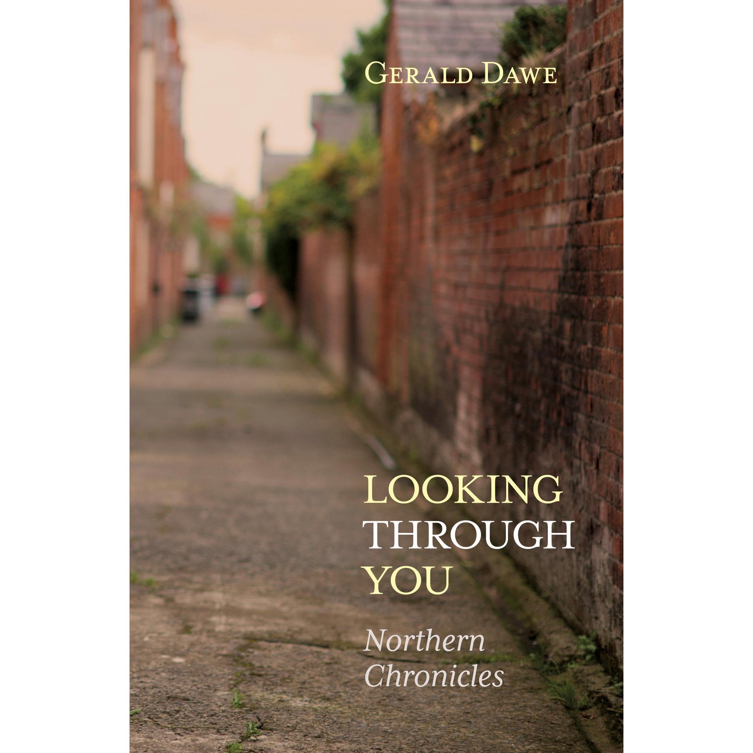 Looking Through You: Northern Chronicles