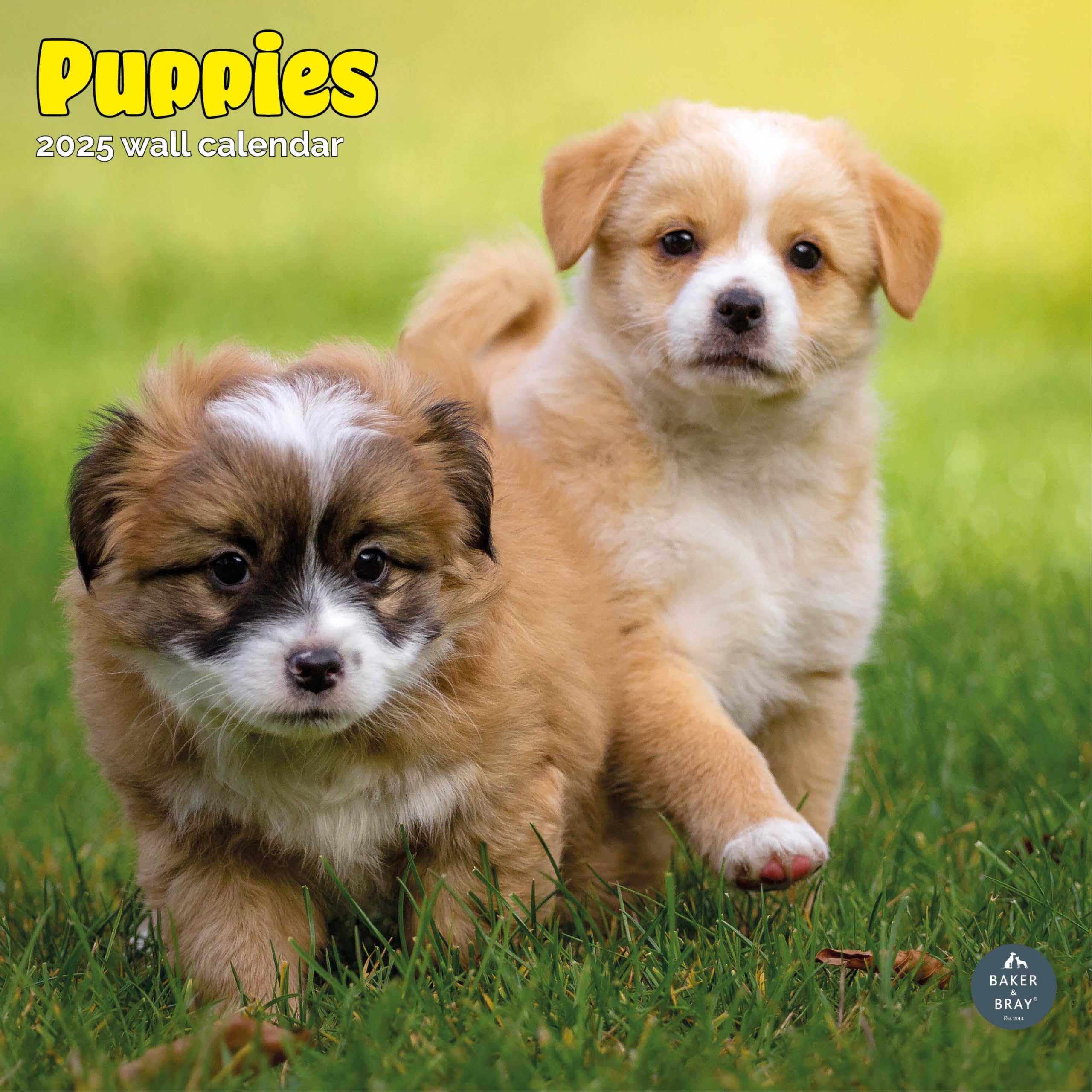 Baker and Bray Puppies Calendar 2026, Large Square Wall Calendar With Organisational Stickers, 16 Month, Puppies Gift Dog Calendar