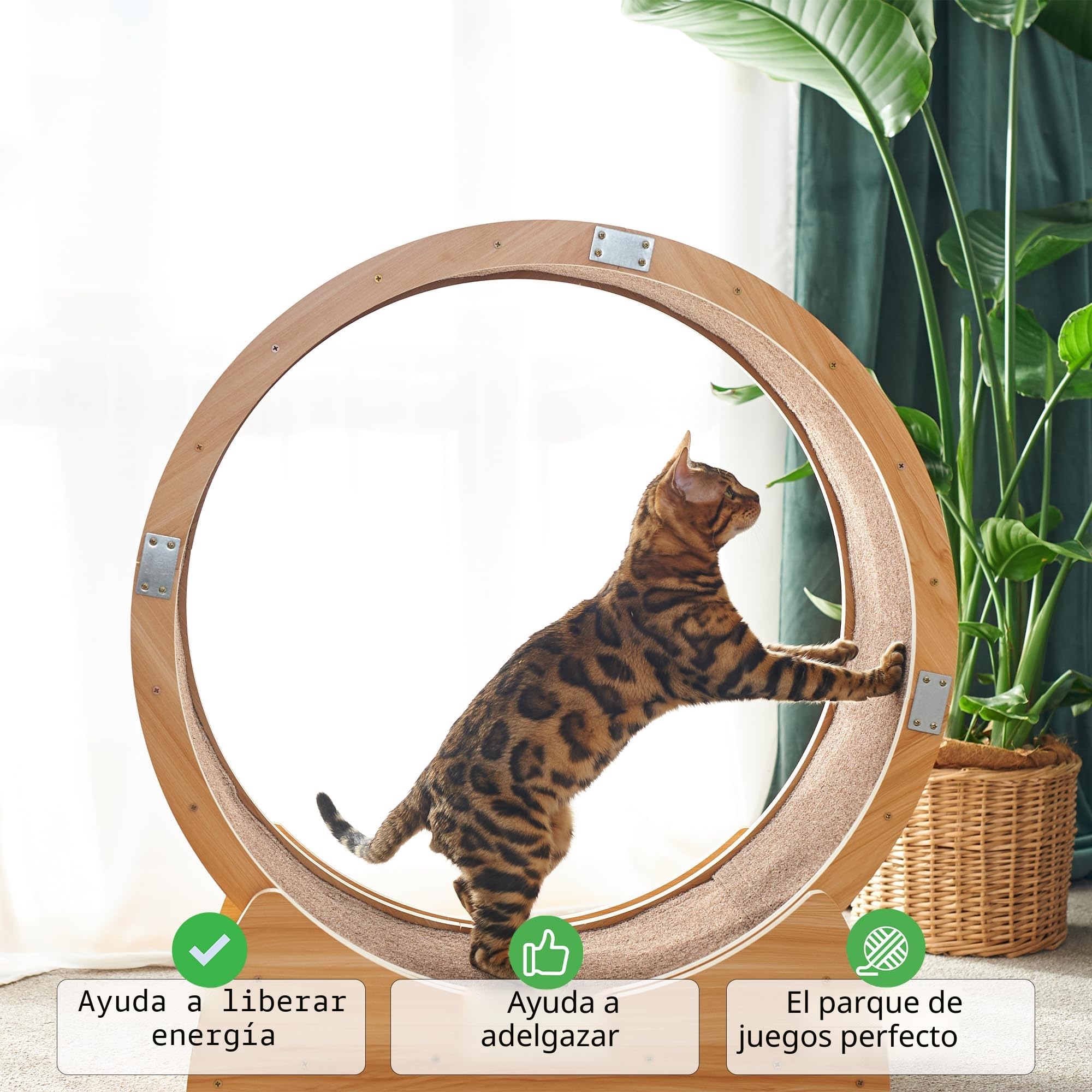 Rueda de Ejercicio para Gatos | Lo Último en Ruedas de Correr | Juguete Divertido para Su Amigo Felino | Rueda Giratoria para Gatos | Alfombrilla de Juego