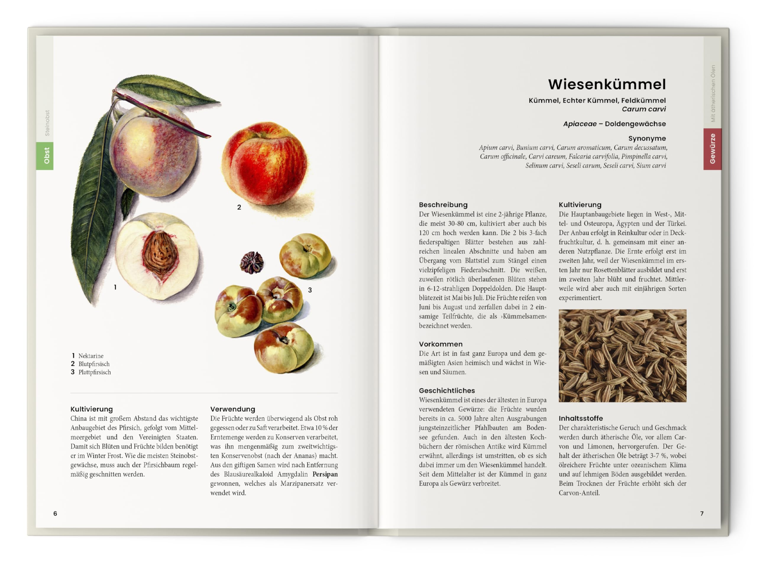Was wir essen: Obst, Gemüse, Gewürze, Kräuter und Grundnahrungsmittel. Essbare Pflanzen aus aller Welt