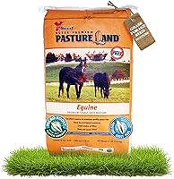 Vista 1 de X-Seed Mezcla de semillas de forraje equino con Micro-Boost – Hierba de pasto sin cortar con trébol, raigrás y verduras perennes – Recomendador