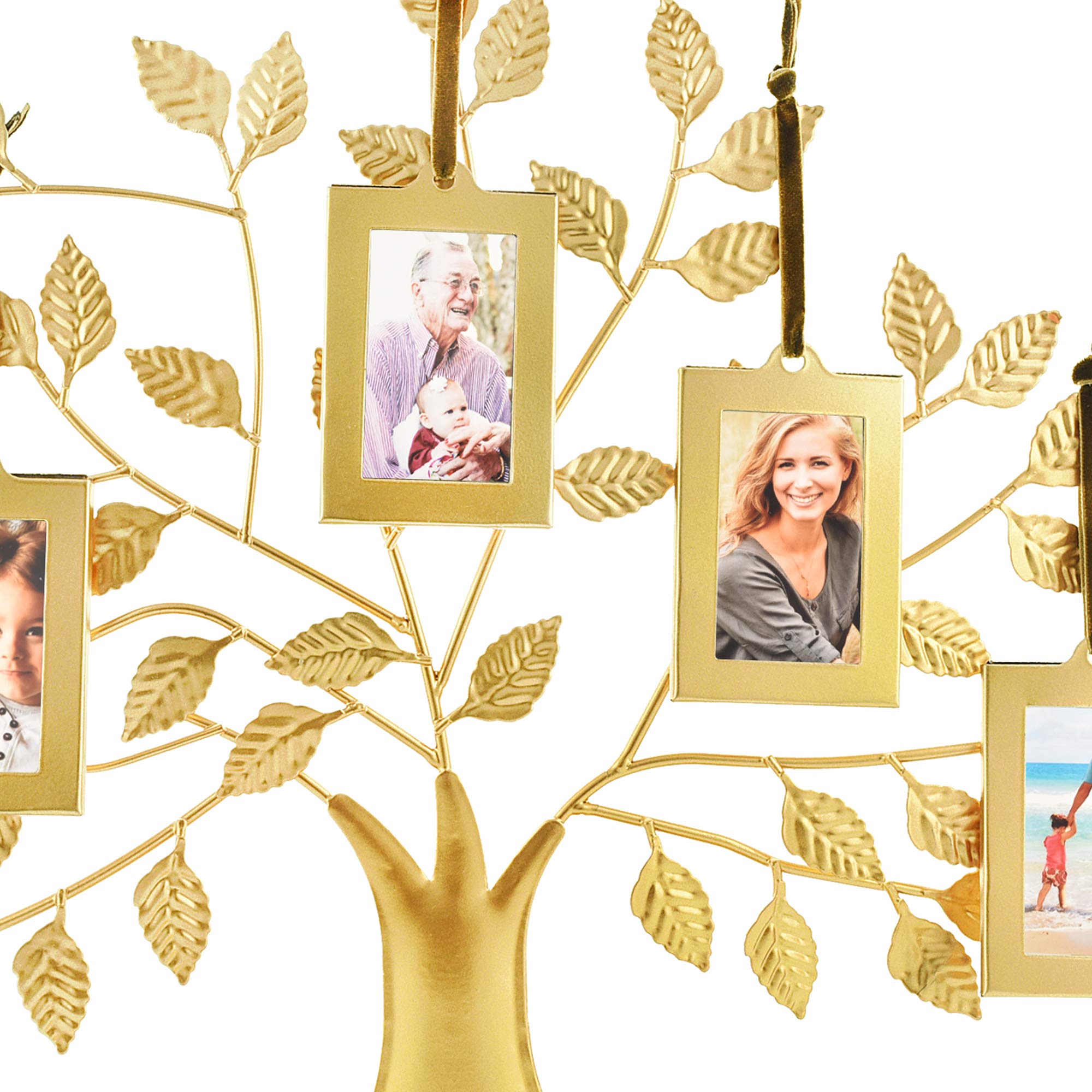 Thetford Design Family Tree Gold Photo Frame with 5 Hanging Picture
