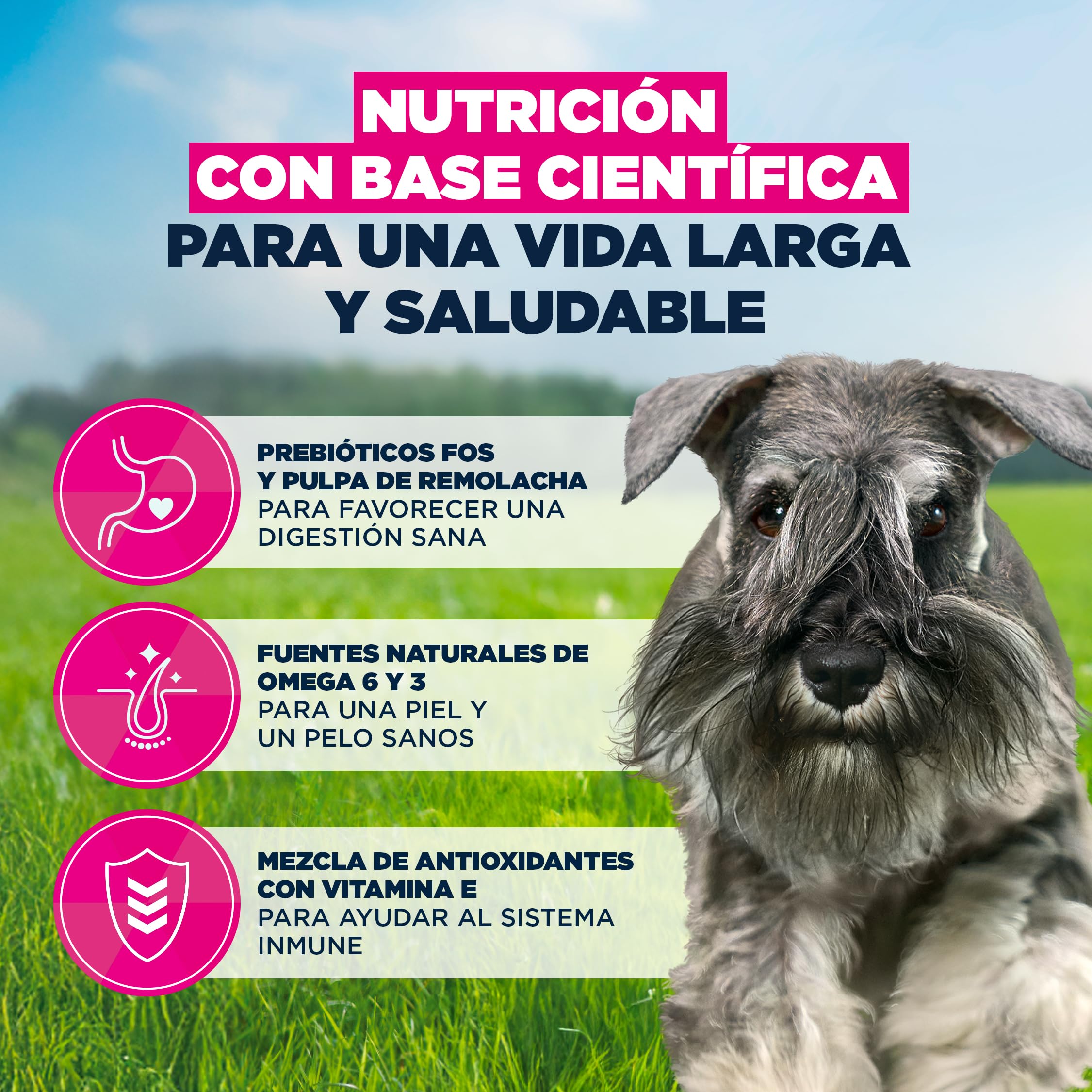 Eukanuba, alimento seco para Perros con Pollo Fresco para Razas pequeñas - Alimento seco Premium para Perros Adultos, 15 kg