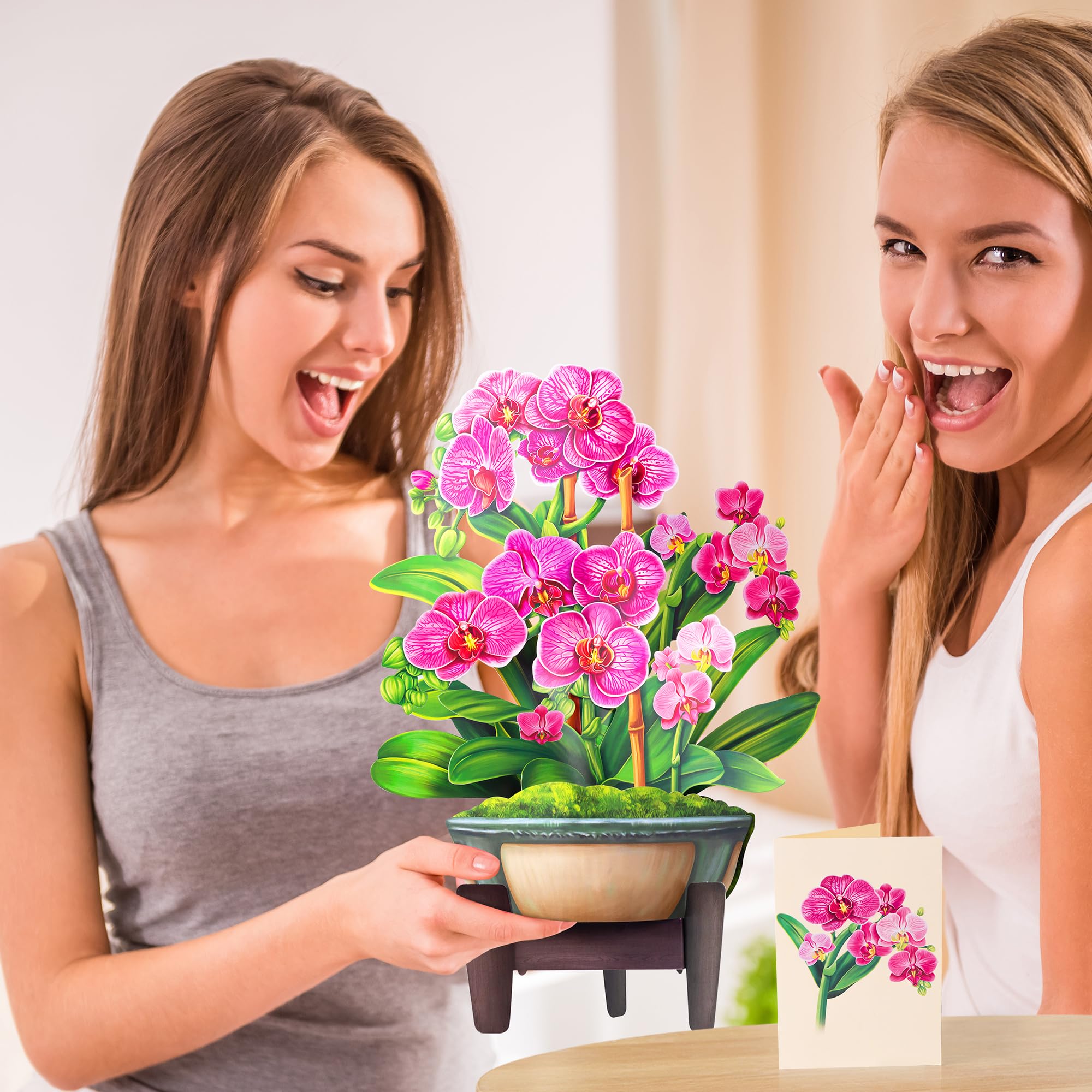 Airpark Pop-Up-Blumenstrauß-Karte für Frauen, 3D-Blumengrußkarte mit Umschlag und Notiz, Geburtstag, Dankeschön, Thinking of You Get Well Geschenk für Mutter, Freundin, Ehefrau, Lehrer, Orchidee