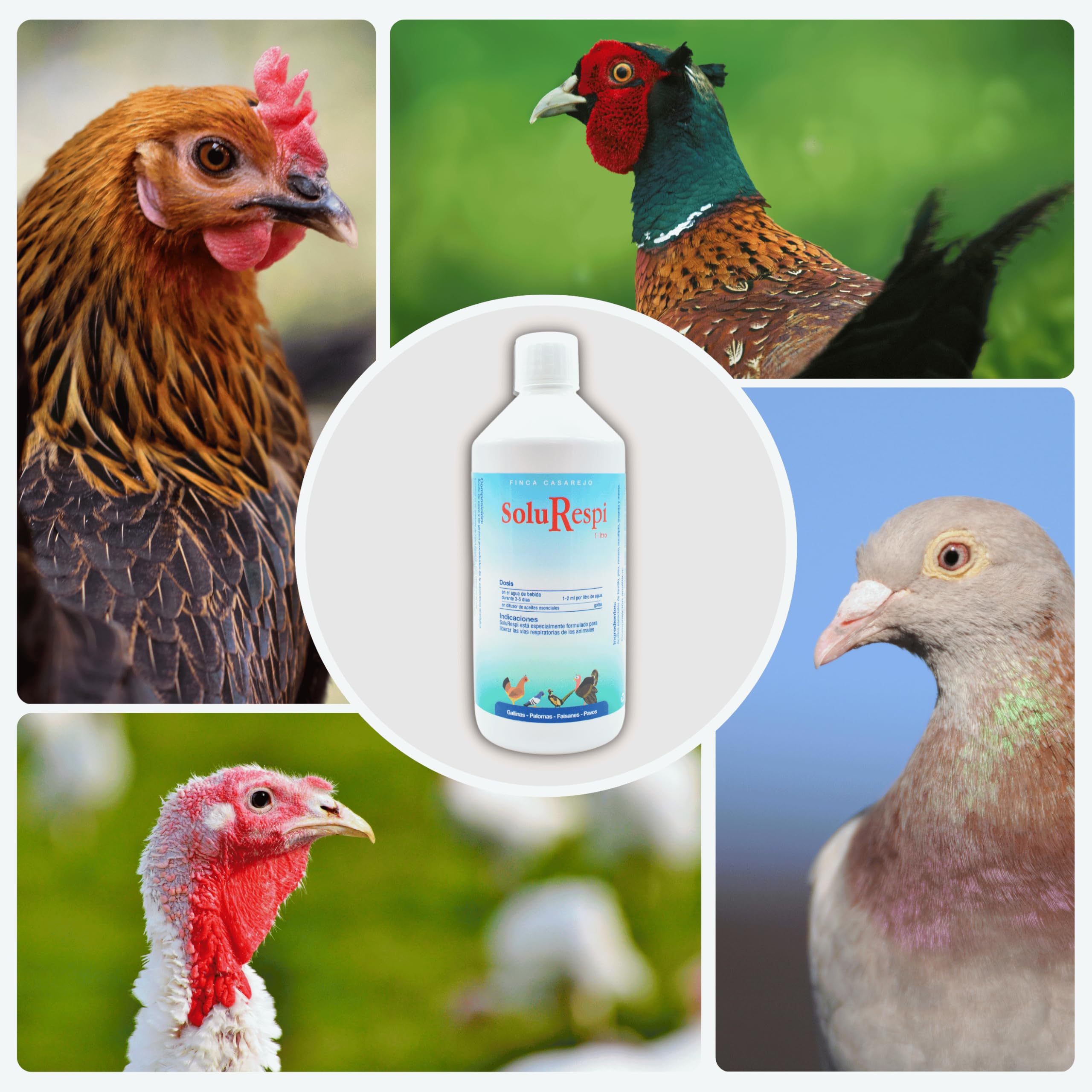 FINCA CASAREJO SoluRespi 1L - Solución líquida mentolada para gallinas - Apoyo nutricional en el resfriado de Las Aves - 100% Natural