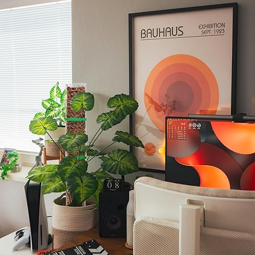 Miniatura 7 de EOX 2 postes de musgo de plástico de 24 pulgadas para Monstera, postes grandes en forma de D para plantas trepadoras, funcionan con musgo esfagnum