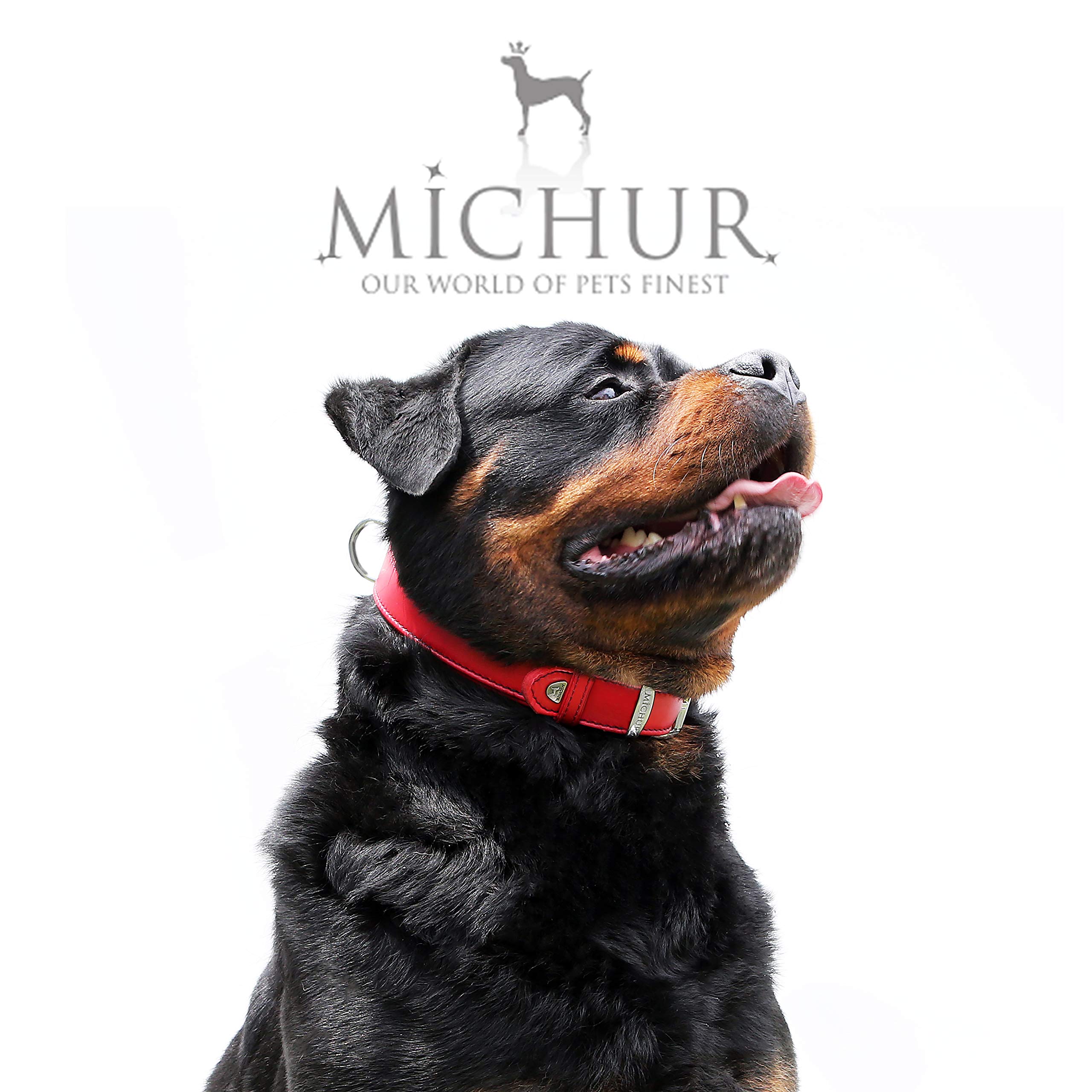 MICHUR Classica Hundeleine, Leder, Rot | Lederleine Hund, Passend zum Halsband Classica, Rot, Leder