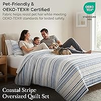 Vista 122 de Southshore Fine Living, Inc. Juego de edredón de tamaño King de gran tamaño, colcha de lavanda King/California con 2 fundas de almohada a juego