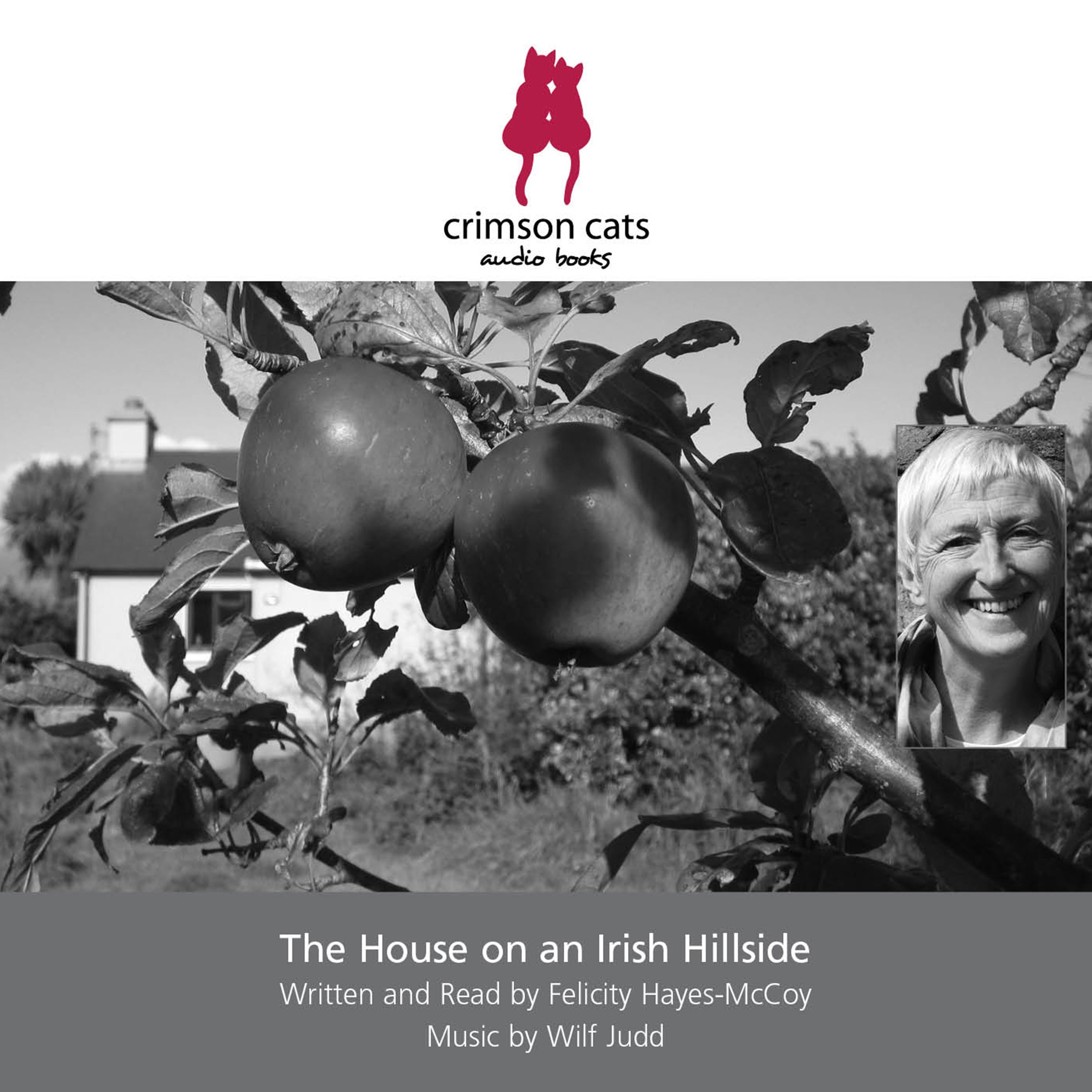 Cover art for The House on an Irish Hillside