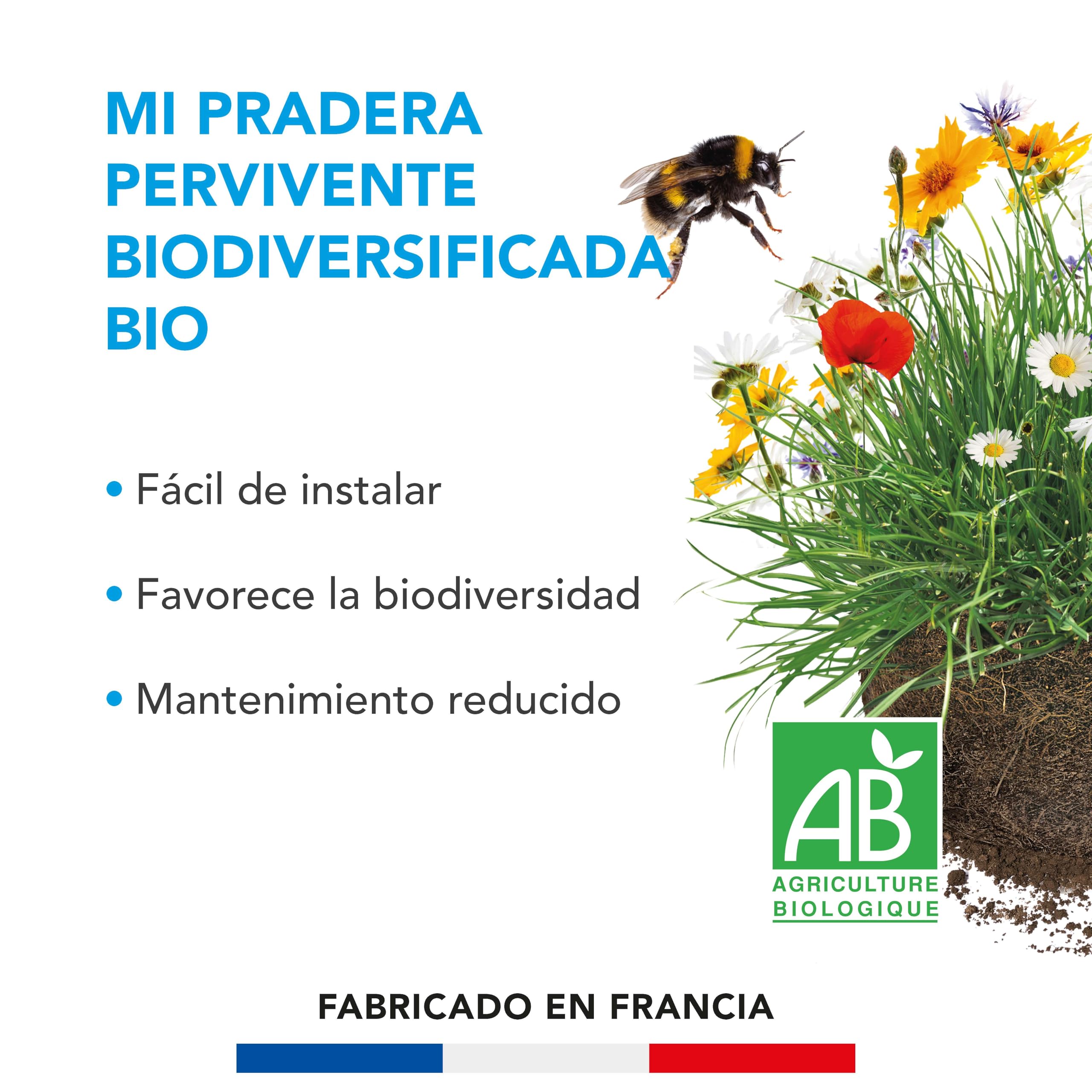 BARENBRUG - Pradera Perenne Biodiversificada BIO - Fácil de Instalar - Favorece la Biodiversidad - Mantenimiento Reducido - Fabricado en Francia - 10 Kg