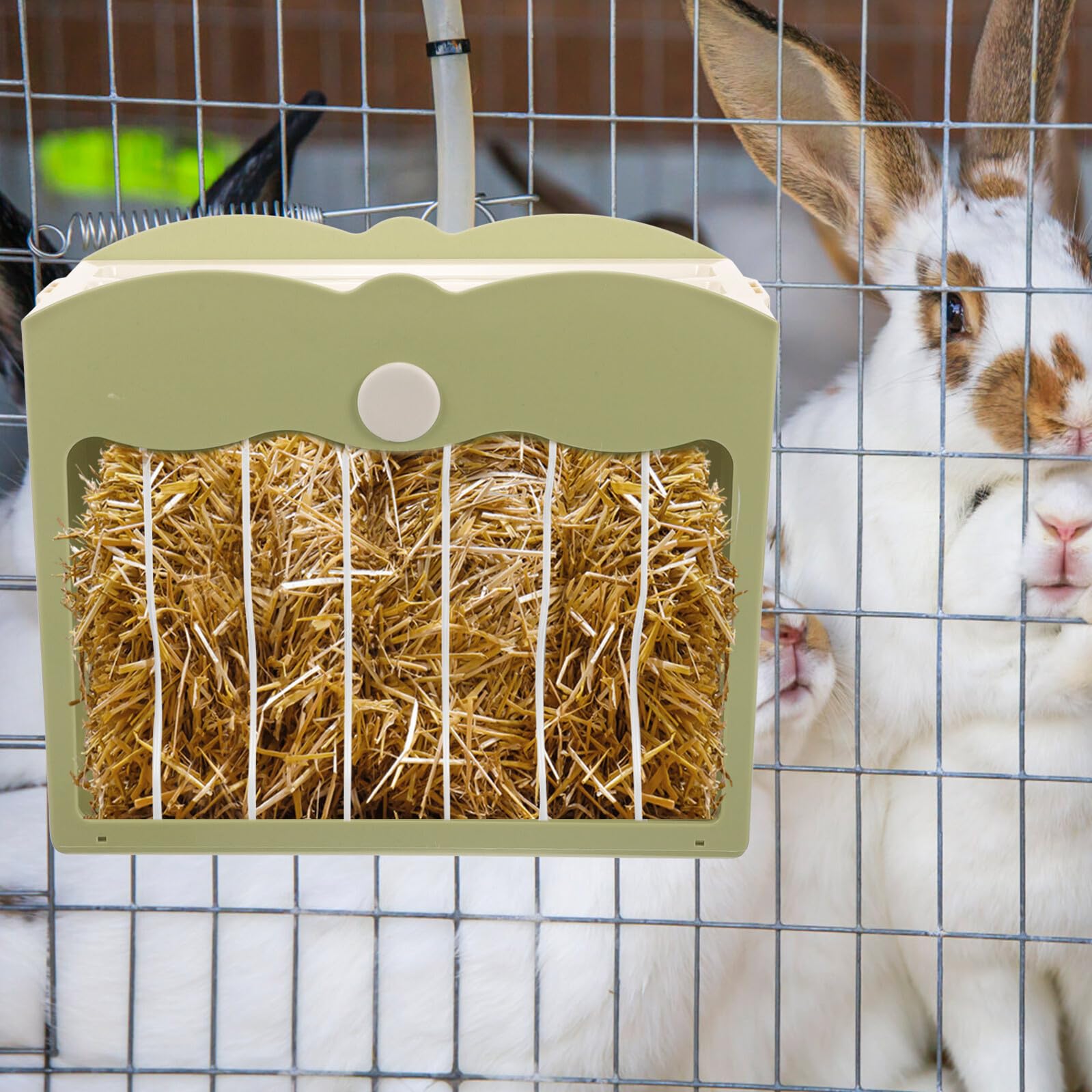 ifundom Plastik Heuraufe mit Abdeckung Abnehmbarer Futterhalter für Kaninchen Meerschweinchen Hamster Platzsparender Hygienischer Heu Spender für Kleintierkäfige Leicht zu Reinigen Grün