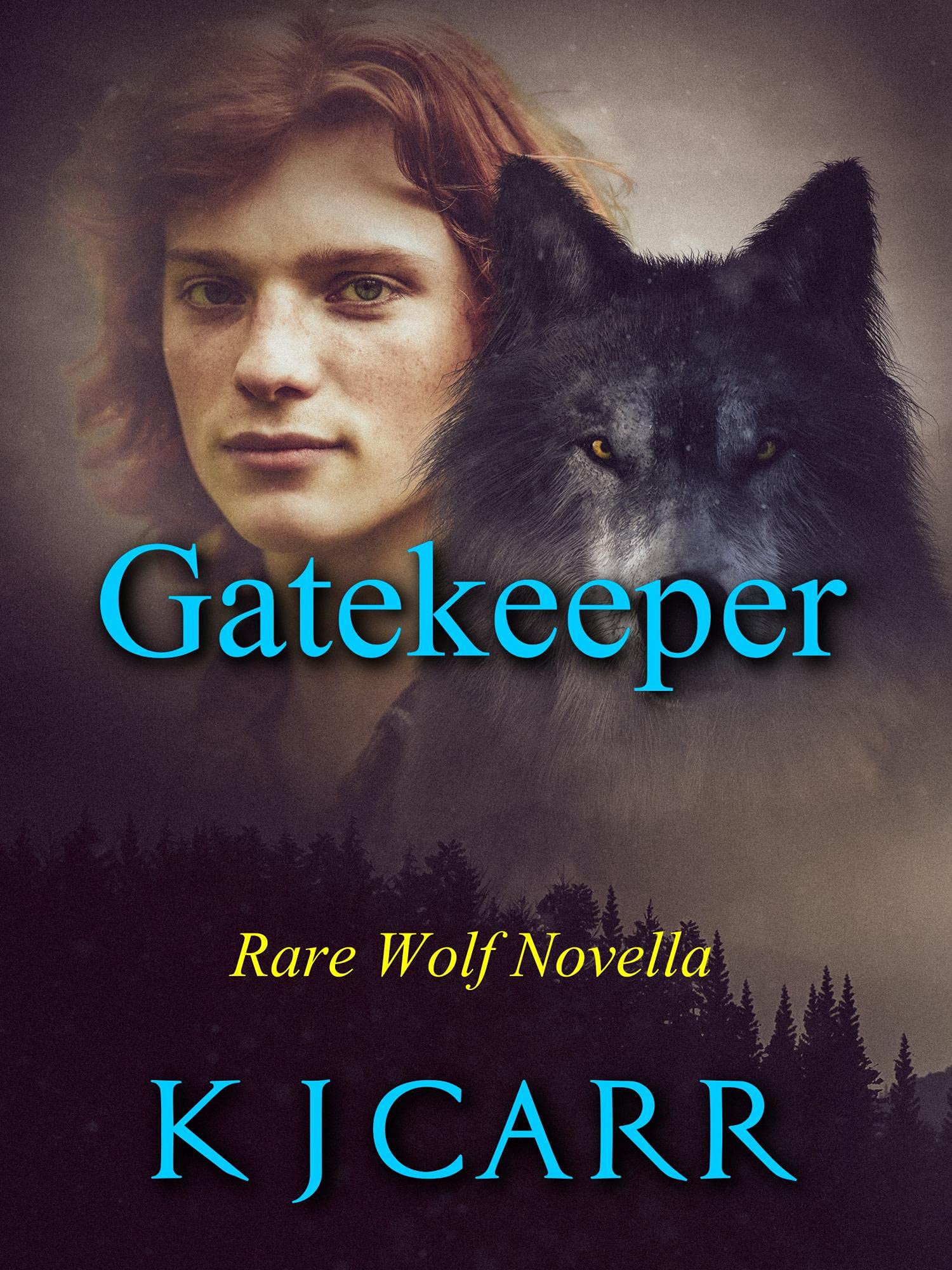 Cover of Gatekeeper