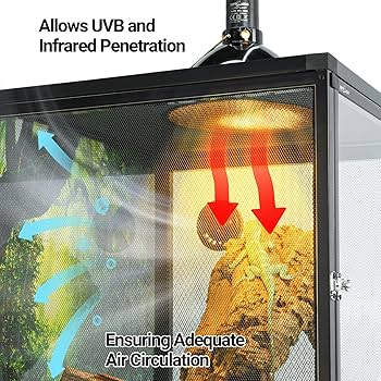 No.32239 カメレオン 1〜47 Amazon.com : REPTI ZOO 18