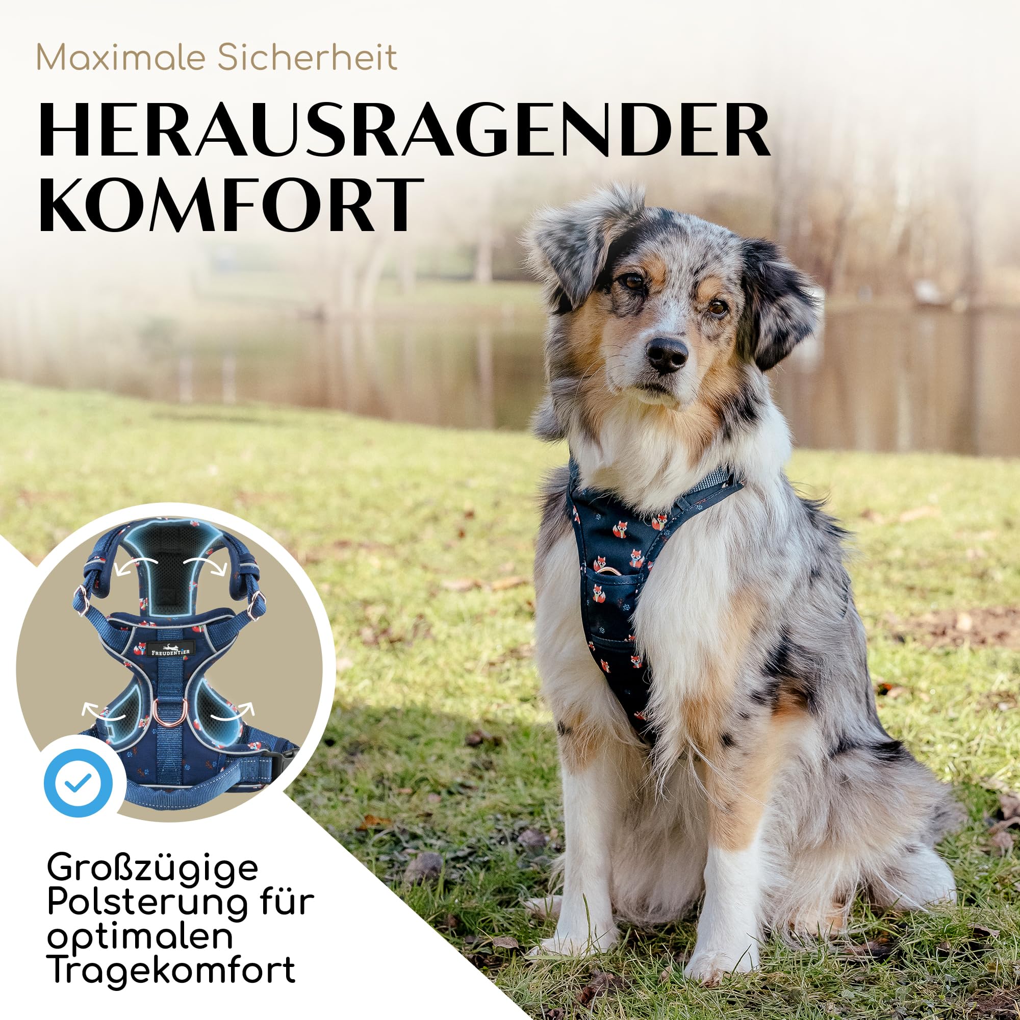 FREUDENTIER Hundegeschirr mit Griff & atmungsaktiver Polsterung - Höchster Komfort, fester Sitz & maximale Sicherheit - Anti Zug - Lets get Foxy Kollektion - Für kleine, mittelgroße & grosse Hunde (M)
