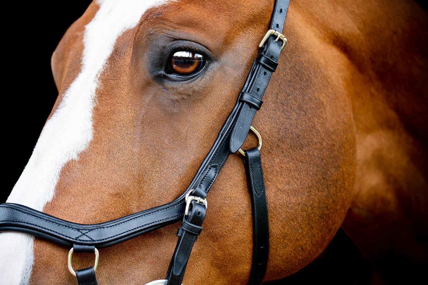 Horseware Micklem 2 - Briglia da competizione, colore: nero