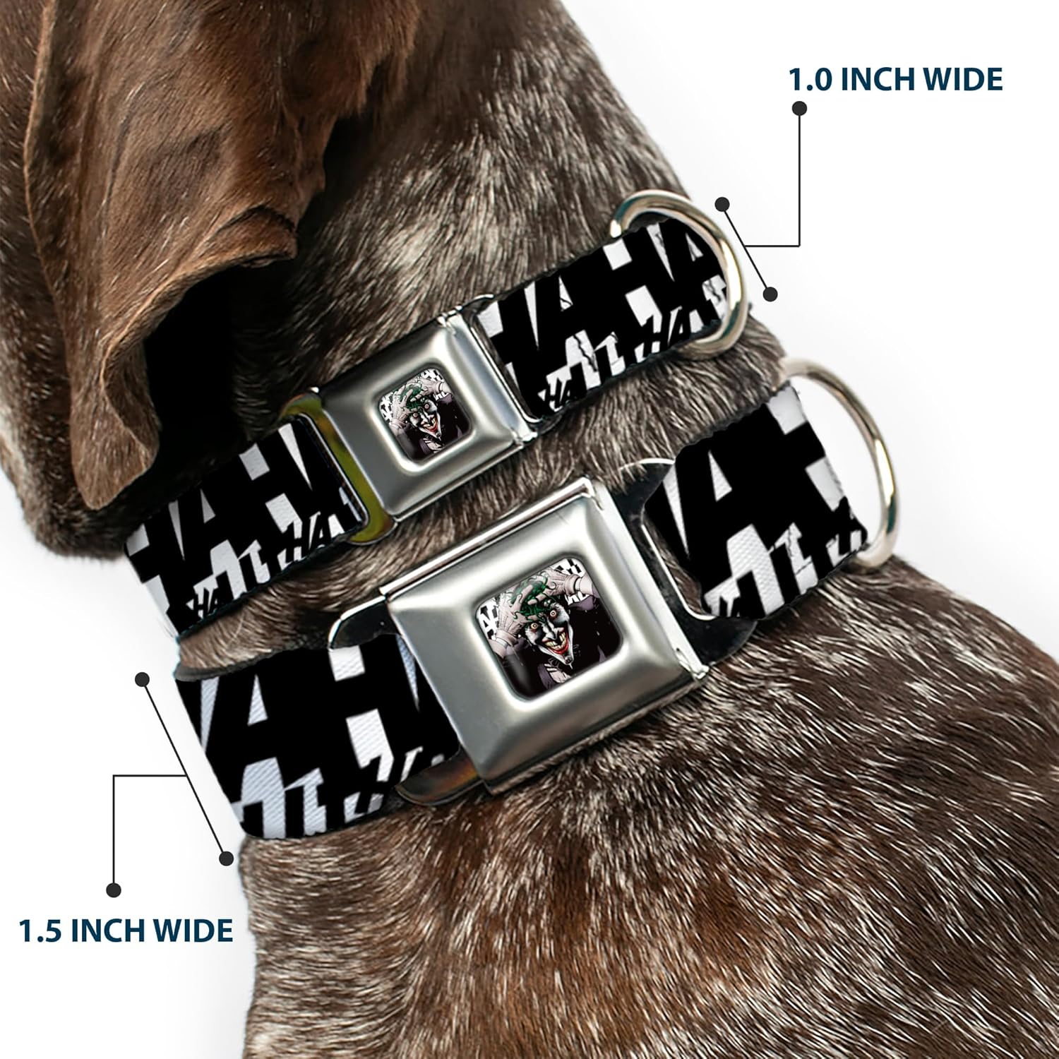 Buckle-Down Dog Collar Seatbelt Buckle Jokers Ha Ha Ha Repeat White Black 15 to 26 Inches 1.0 Inch Wide, Multi Color, DC-SB-JKEF-WJK070-1.0-L