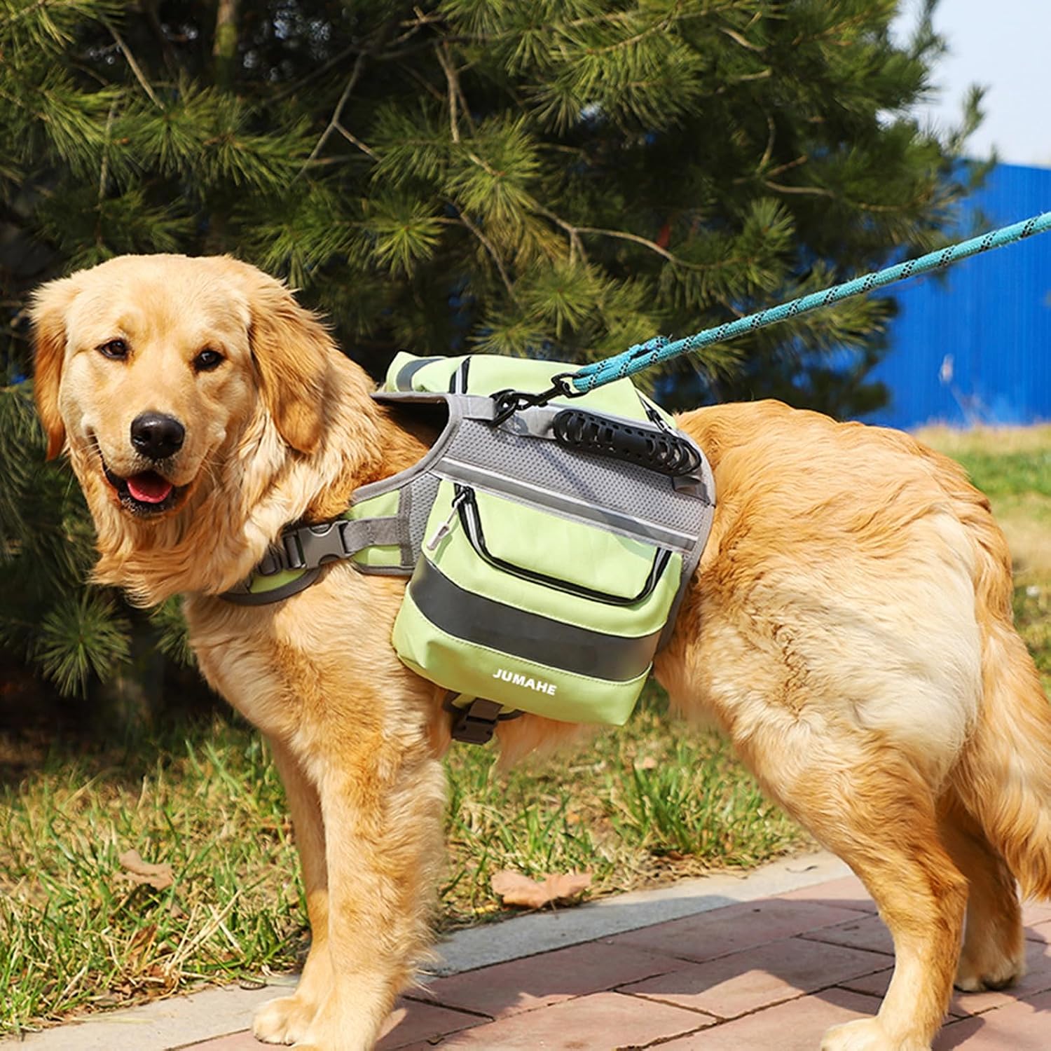 Dog Backpack Outdoor Training Pet Walking Camping Hiking Essential Multifunctional Dog Saddlebag Camping Backpack