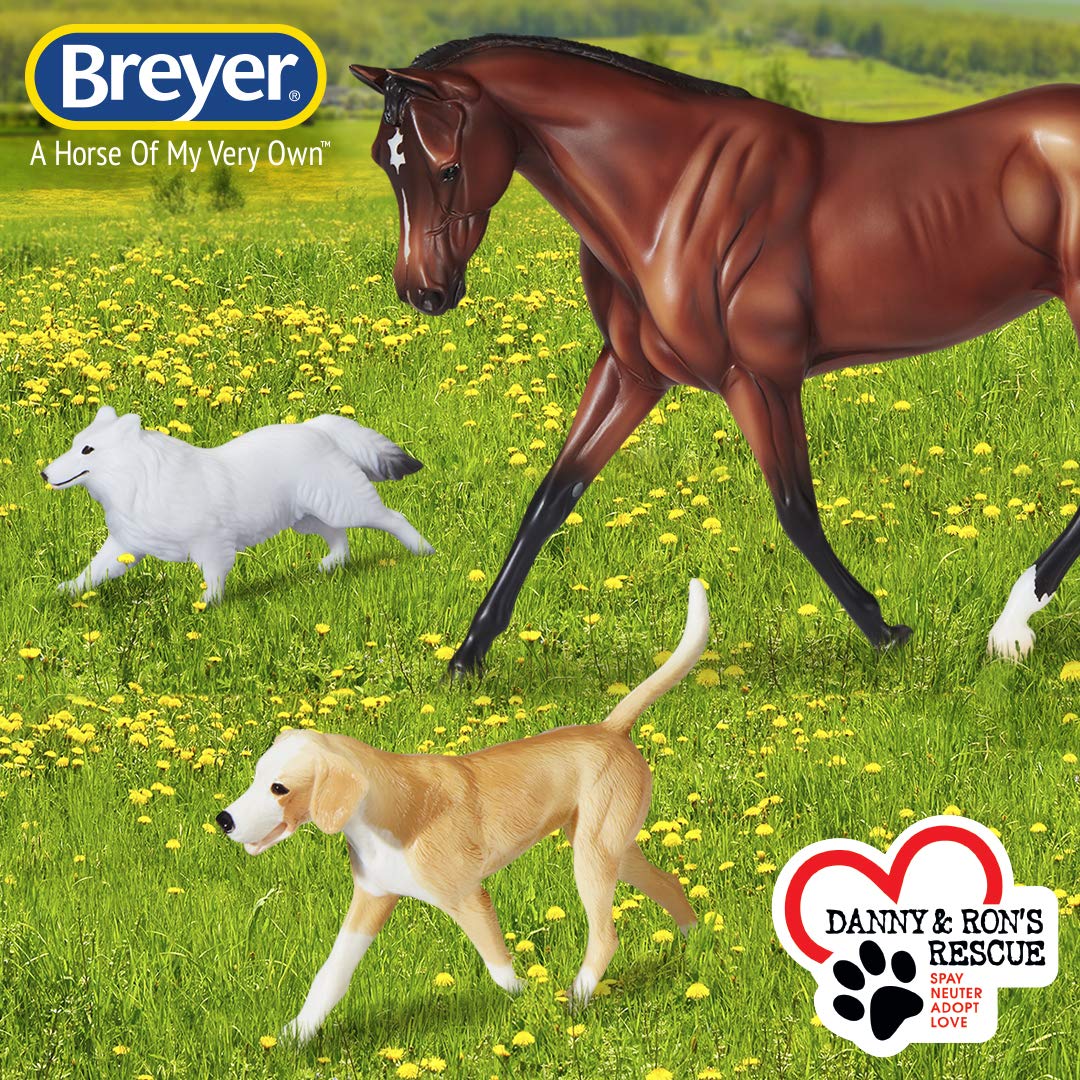 Amazon | Breyer Horses Protocol Gift Set | フィギュア・ドール 通販