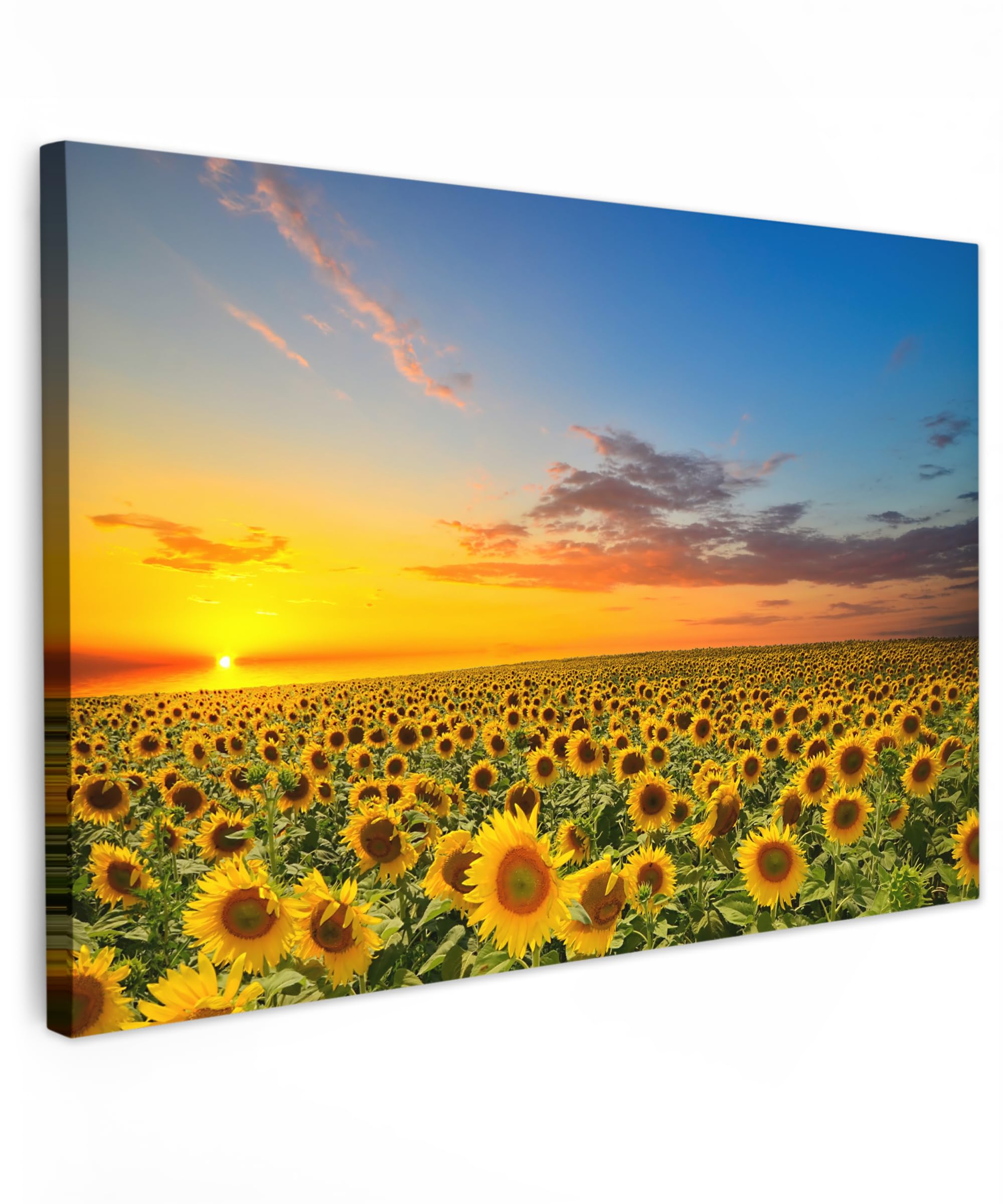 MuchoWow© Canvas Wall Art 35"x24" / 90x60 cm Decor Prints for Living Room Decorative Canvases Hall Artwork Flowers - Sunflower - Sunset - Night - Orange