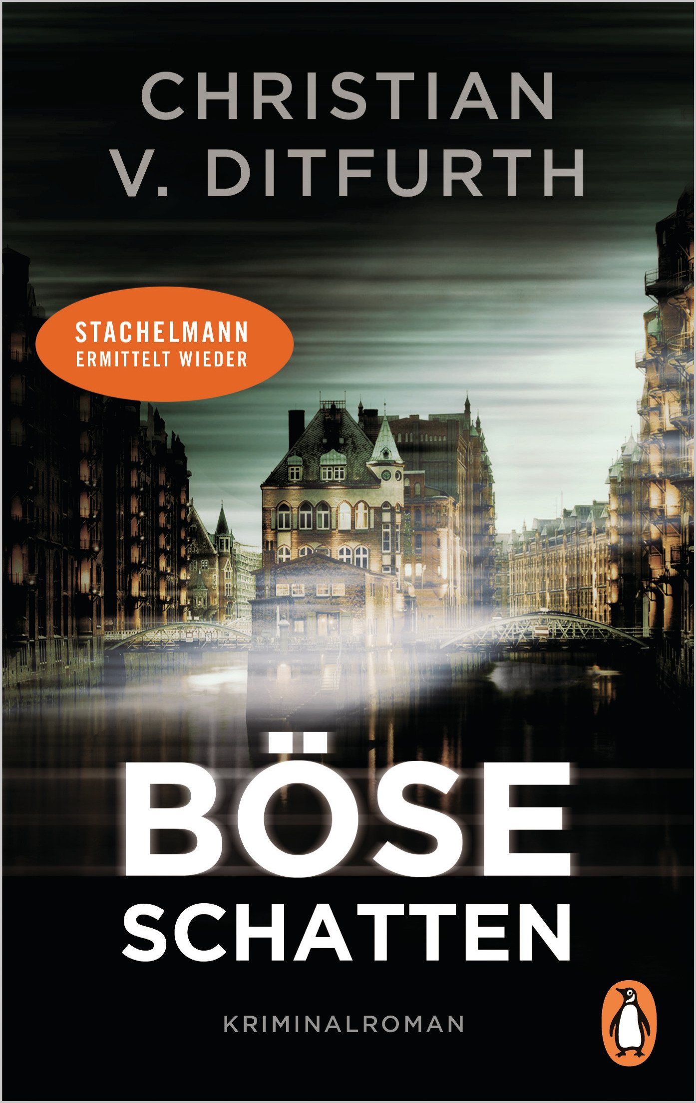 Böse Schatten: Kriminalroman