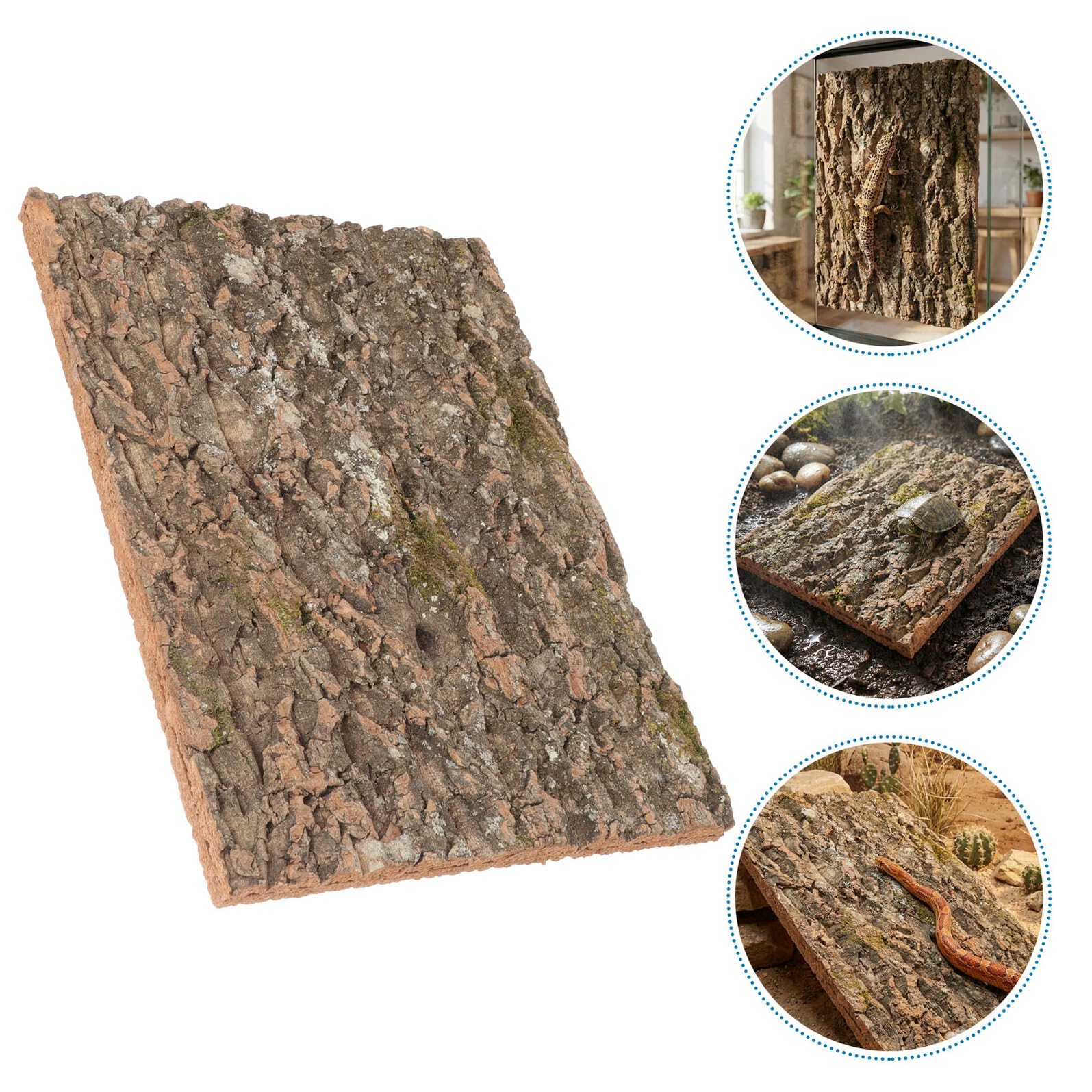 3 Sztuki Częściowy Naturalny Drzewny Do Terrarium Dekoracja Ścienna i Tło Do Akwarium dla Gadów Jaszczurek Węży Odporne Wilgoć Akcesoria dla Terrariów