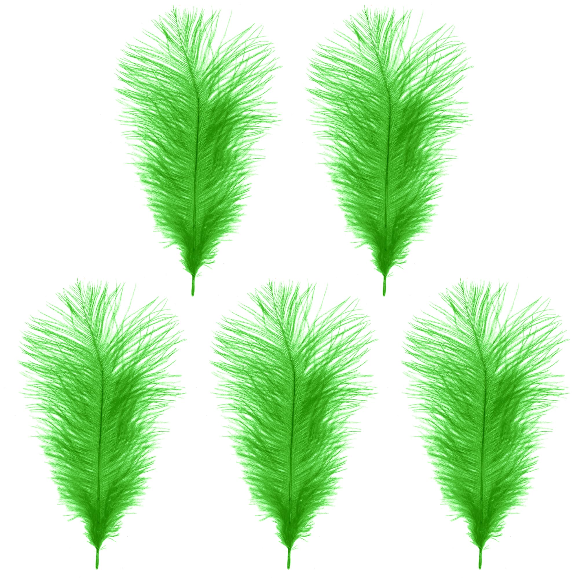WedDecor 35cm Green Ostrich Feathers for Wedding Decoration – Real Feather Supplies for Crafts, DIY Headdresses, Dressmaking, Table Centrepieces & Fashion Accessories, 5pcs