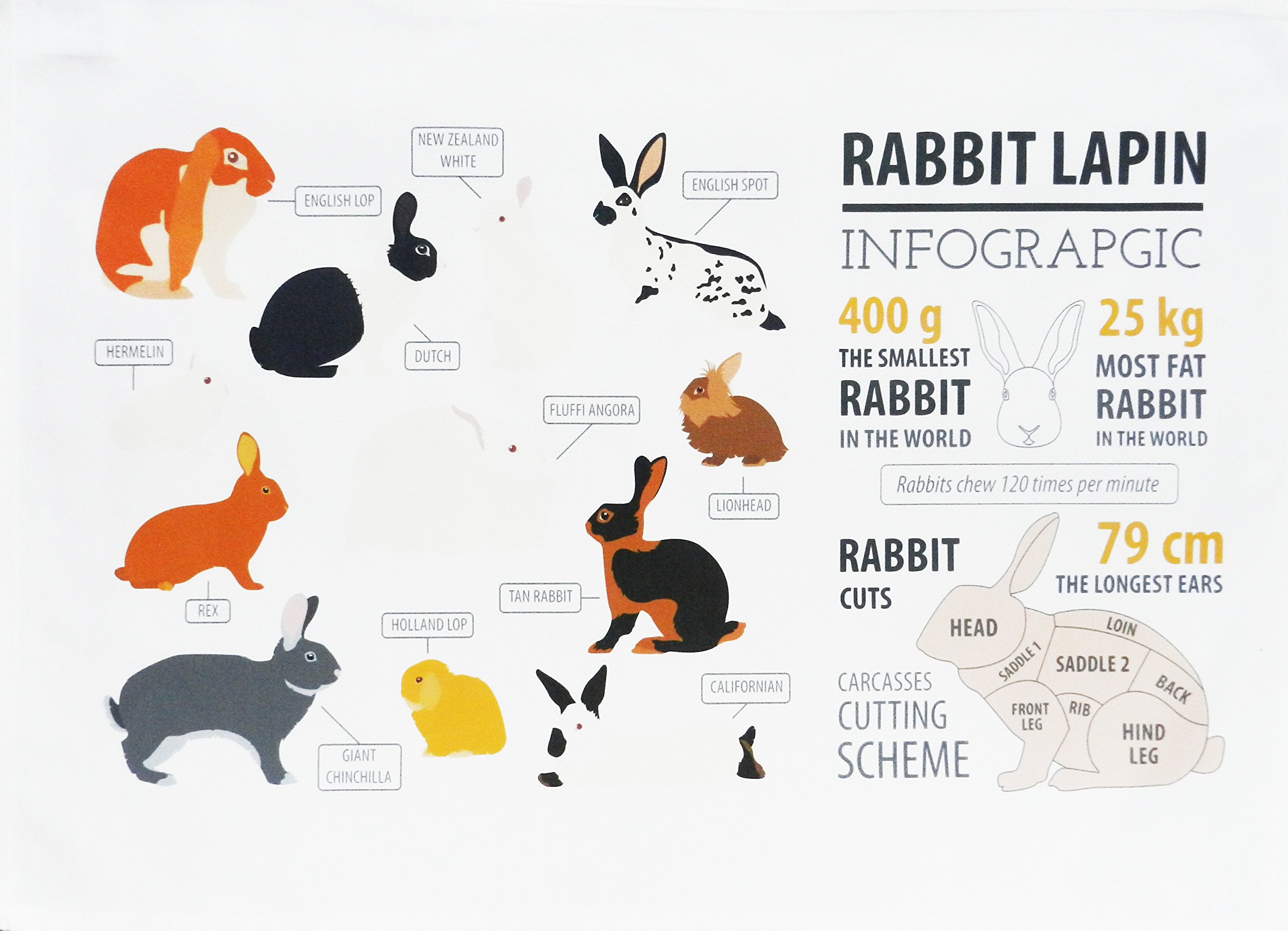 Half a Donkey The Rabbit Infographic Cotton Tea Towel