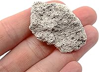 Vista 2 de EISCO Piedra pómez cruda, espécimen de roca ígnea - aprox. 1 pulgada - Geólogo seleccionado y procesado a mano - Ideal para aulas de ciencias