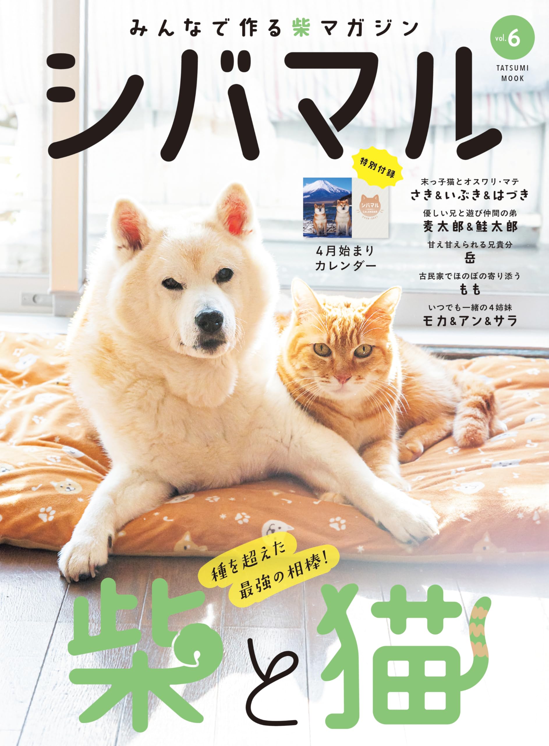 シバマル vol.6 (タツミムック) | Shi-Ba編集部 |本 | 通販 | Amazon