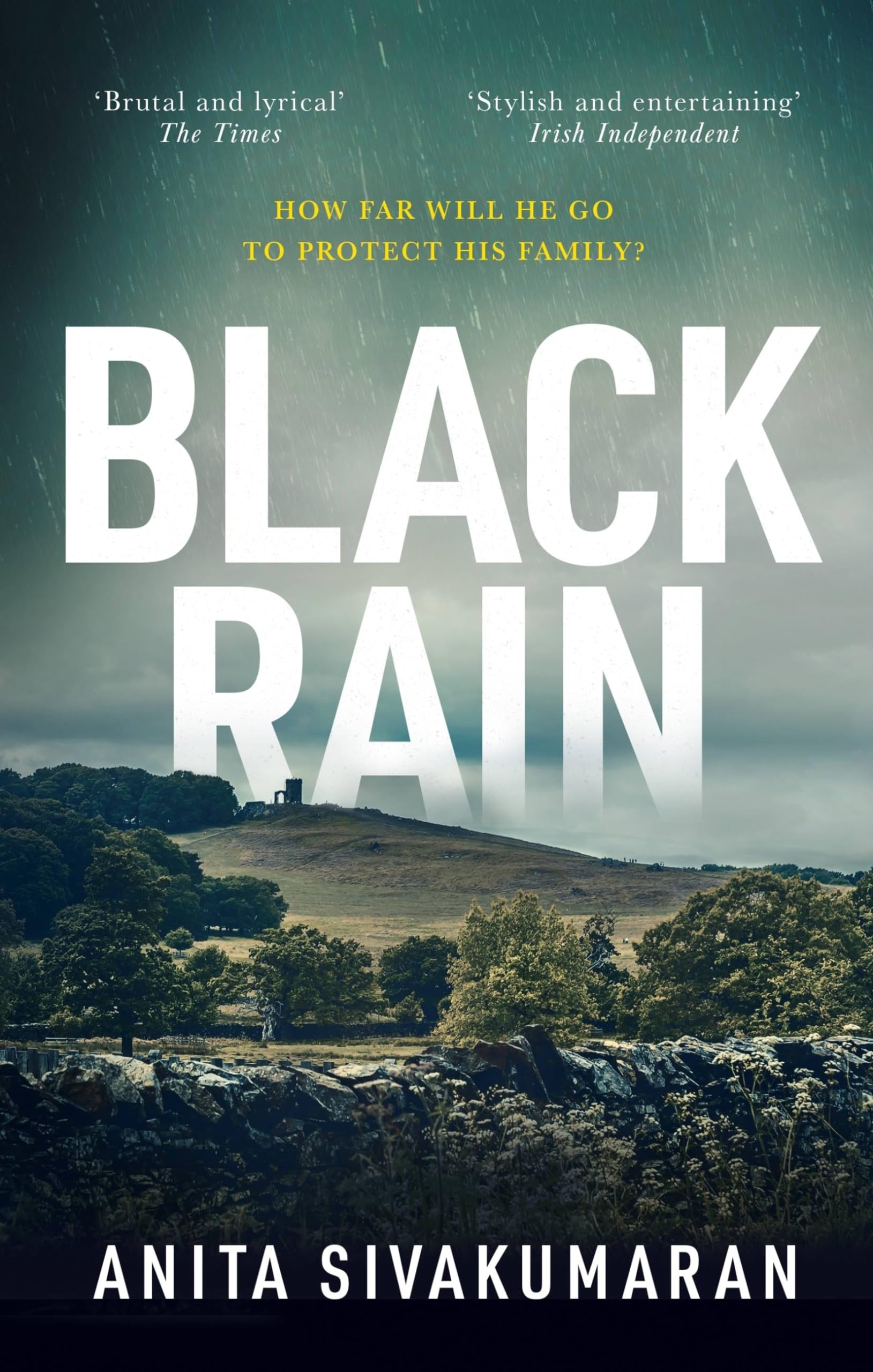 Black Rain: An utterly addictive crime thriller with breathtaking suspense (Detective Vijay Patel)
