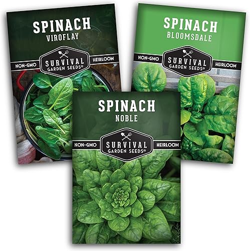 Survival Garden Seeds Colección de semillas de espinaca – 3 paquetes de semillas con instrucciones de cultivo – Viroflay, Noble, Bloomsdale Spinach
