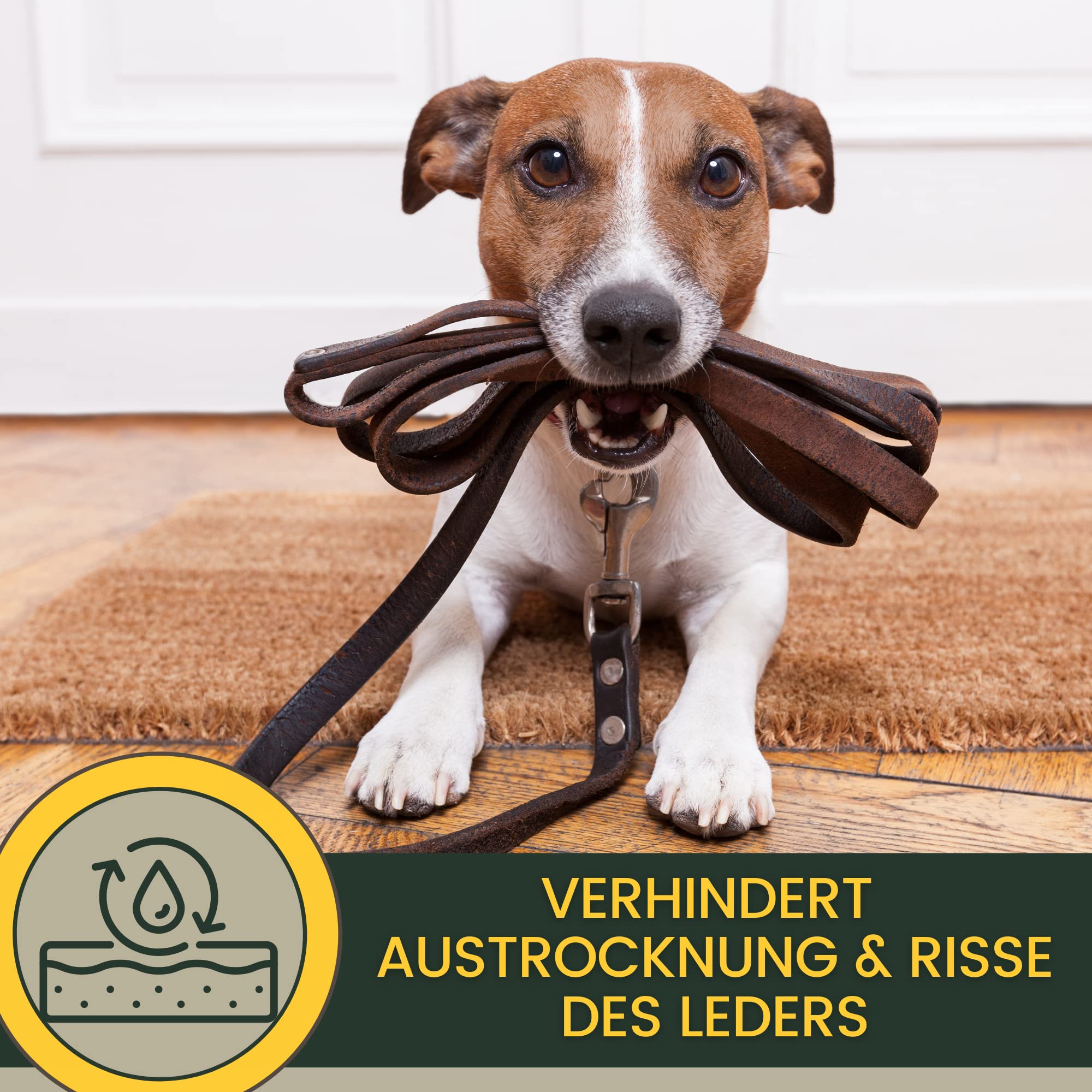 Lederpflege Set Lederöl farblos & Sattelseife Leder 0,25 0,5l Lederfett farblos für Schuhe Ledercouch Sofa Sattel Pferd Jacke Stiefel Möbel Handtasche – Lederseife Saddle Soap zur Reinigung & Pflege