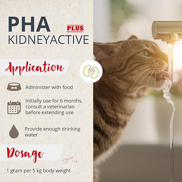 Foto 4 de 6 de PHA Riñones Activ Plus Perro y Gato, Riñón en polvo, 60 g