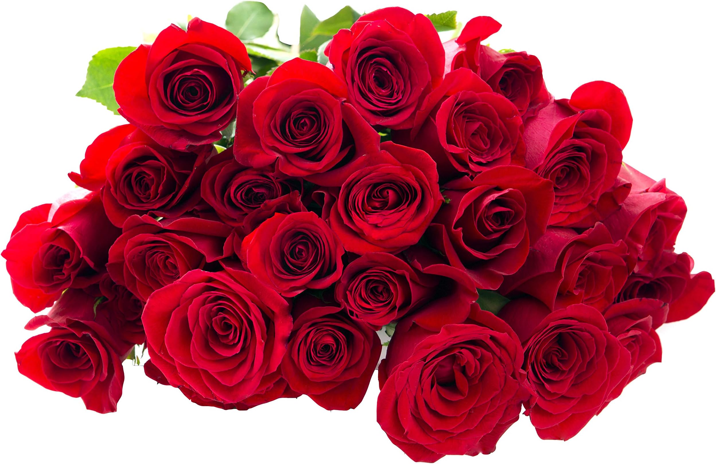 Blooms2Door PRIME NEXT DAY DELIVERY - Mother’s Day Collection - - 25 Red Roses (Farm-Fresh - 50cm) - Farm Direct Wholesale Fresh .Gift for Birthday, Sympathy, Anniversary, Mother’s Day Fresh Flowers