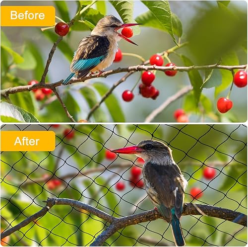 Miniatura 4 de Red para pájaros de 25 x 50 pies con malla cuadrada de 2.4 pulgadas, red para pájaros para gallinero, red de nailon resistente para jardín, aviario,