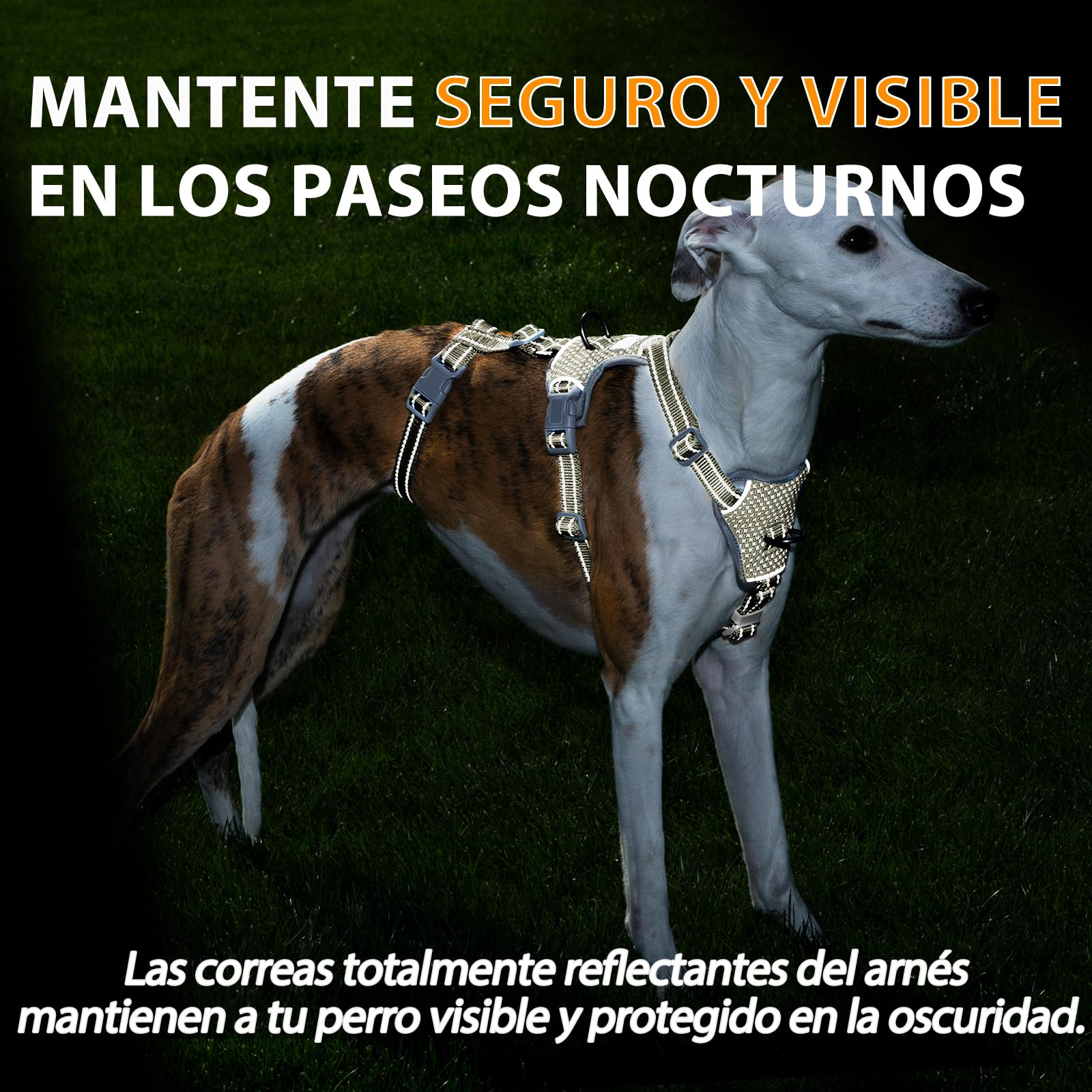Huntboo Arnes Antiescape Perro Pequeño Mediano Grande, Arnés Antitirones para Perros, Reflectante, Duradero, Chaleco Ajustable y Transpirable para Paseos y Entrenamientos (Verde Militar,M)