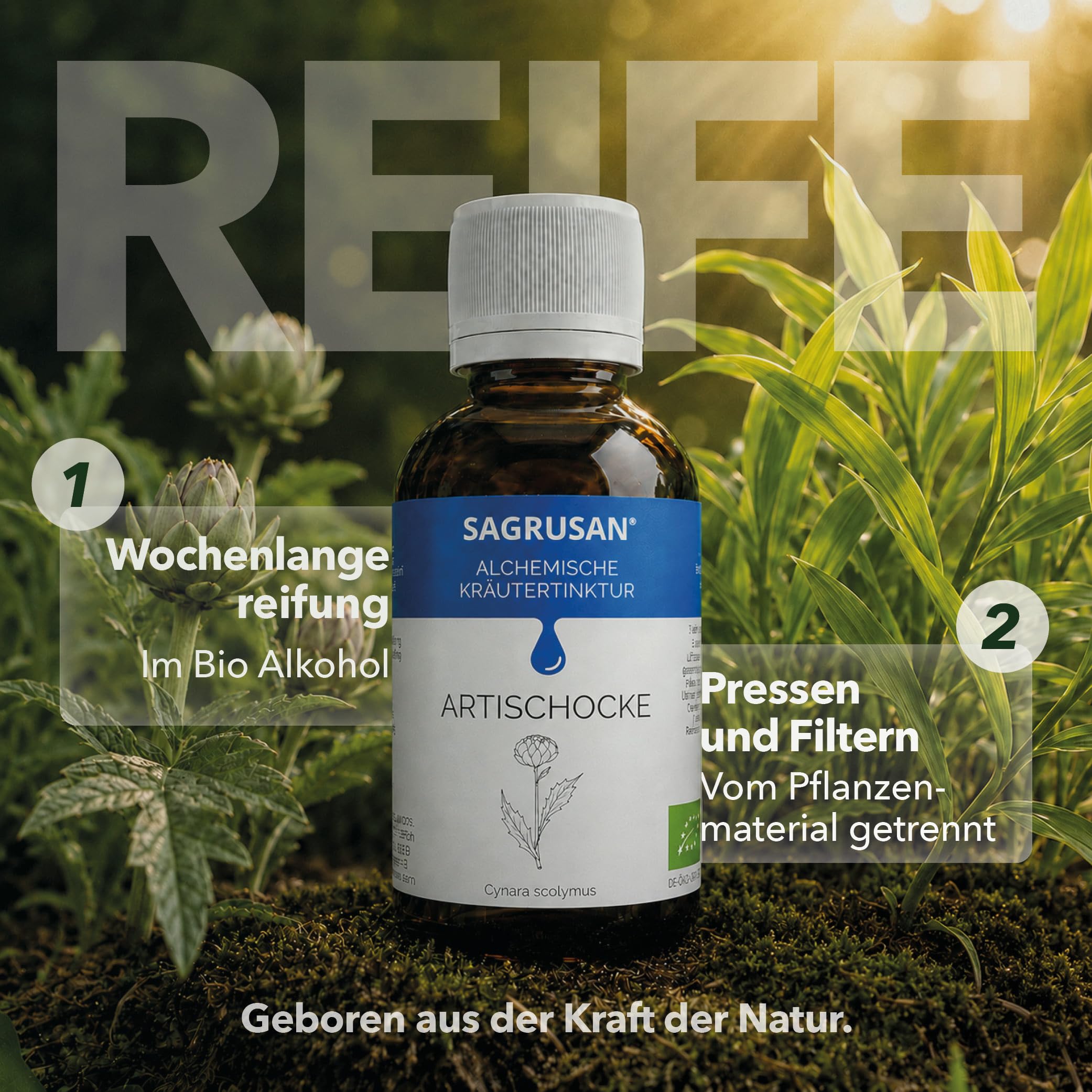 Artischocke Tinktur Bio 100 ml – Cynara scolymus Extrakt vegan aus Bio Artischocken Blättern, Wurzel und Blütenkopf, Kräutertinktur im Braunglas aus österreichischer Manufaktur ohne Zusätze.