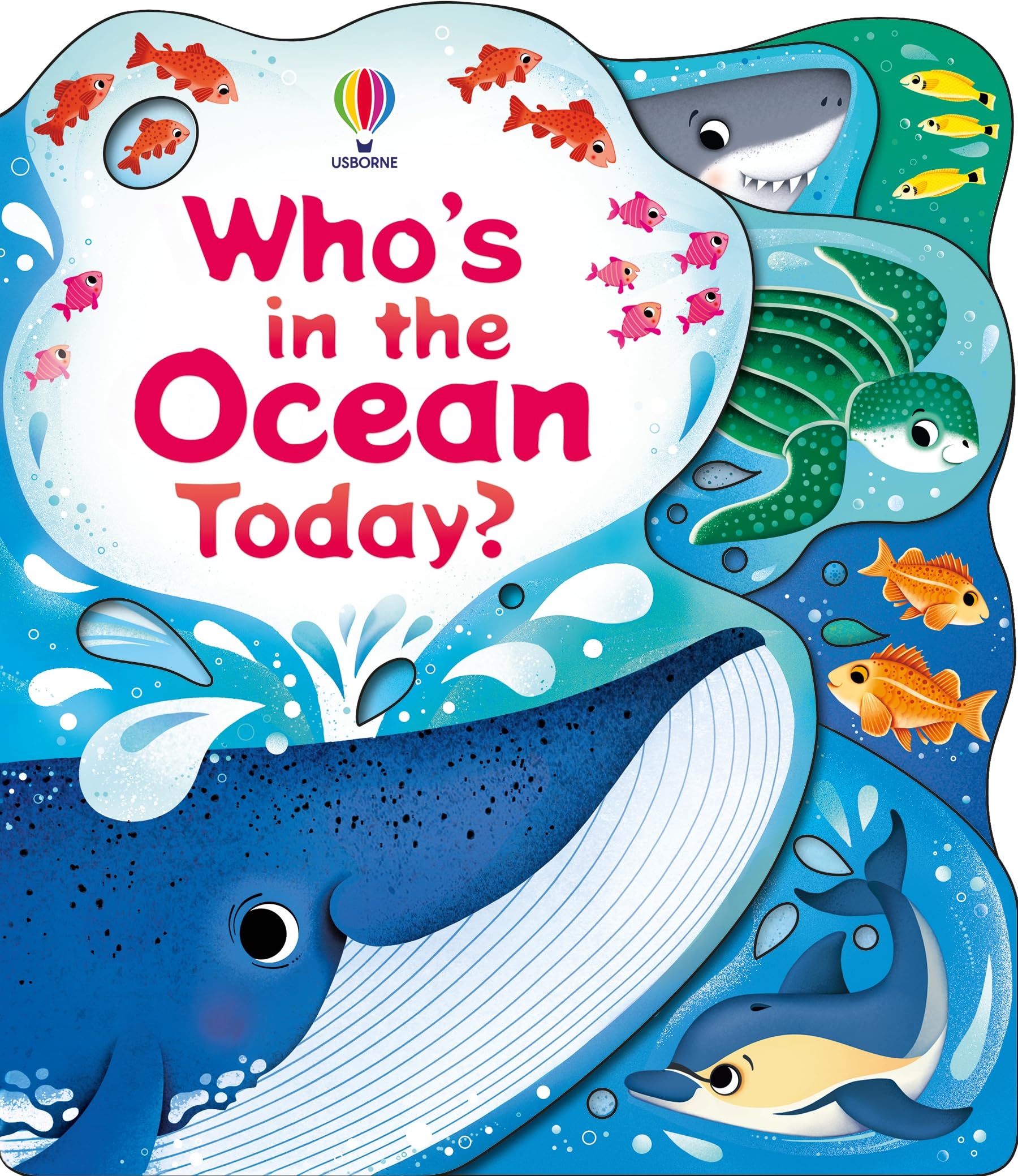 Whos in the Ocean Today by Alice Beecham 9781805077091