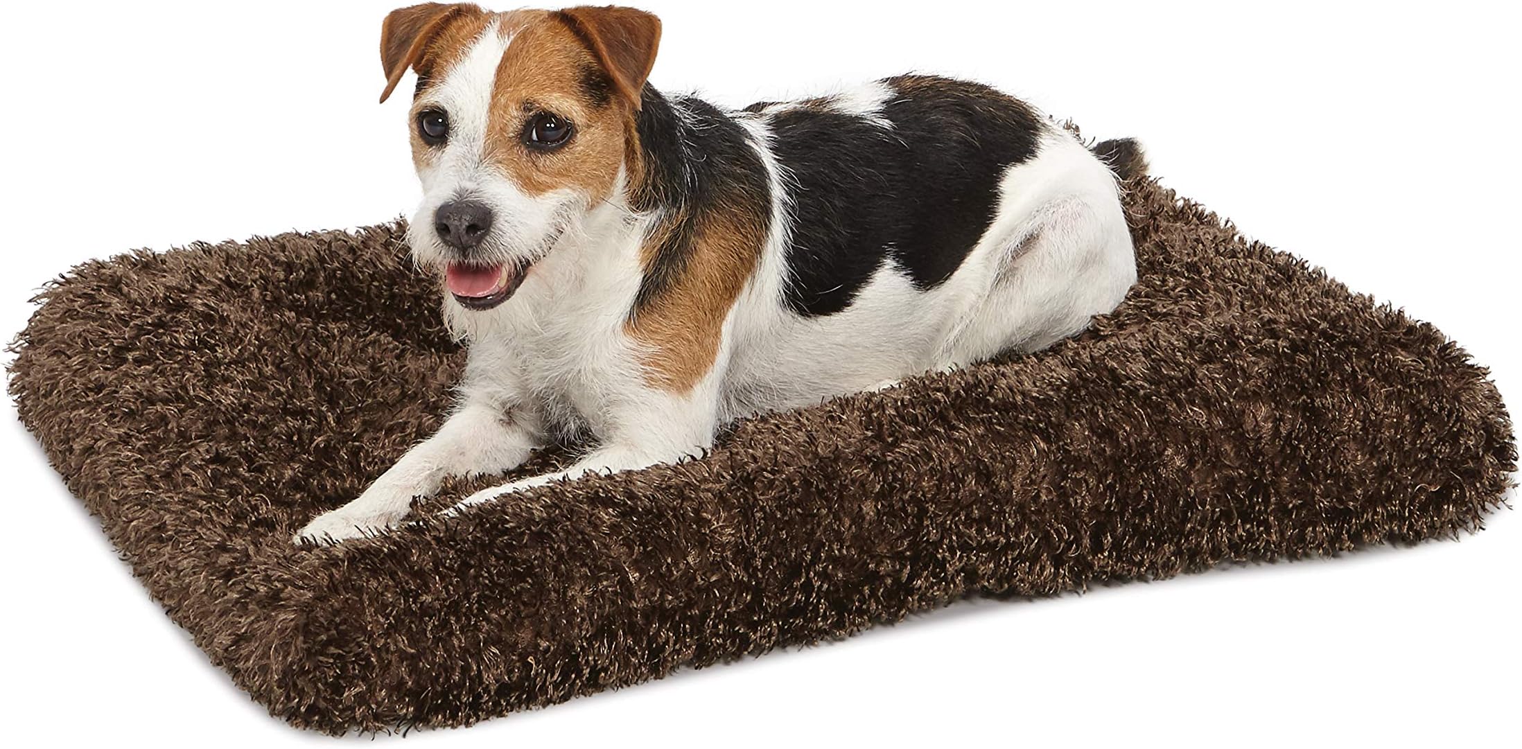 chic dog bed