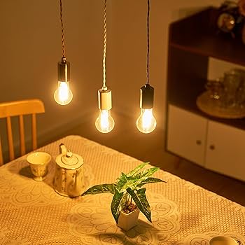 Amazon.co.jp : ペンダントライト 1灯 おしゃれ 裸電球 シェード