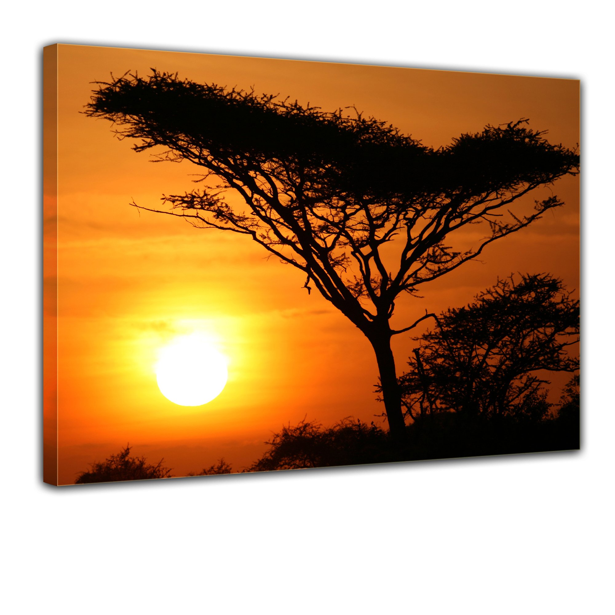 Bilderdepot24 Bild auf Leinwand | Akazienbaum im Sonnenuntergang, Tanzania Serengeti Afrika in 80x60 cm als Wandbild | Wand-deko Dekoration Wohnung modern Bilder | 170315