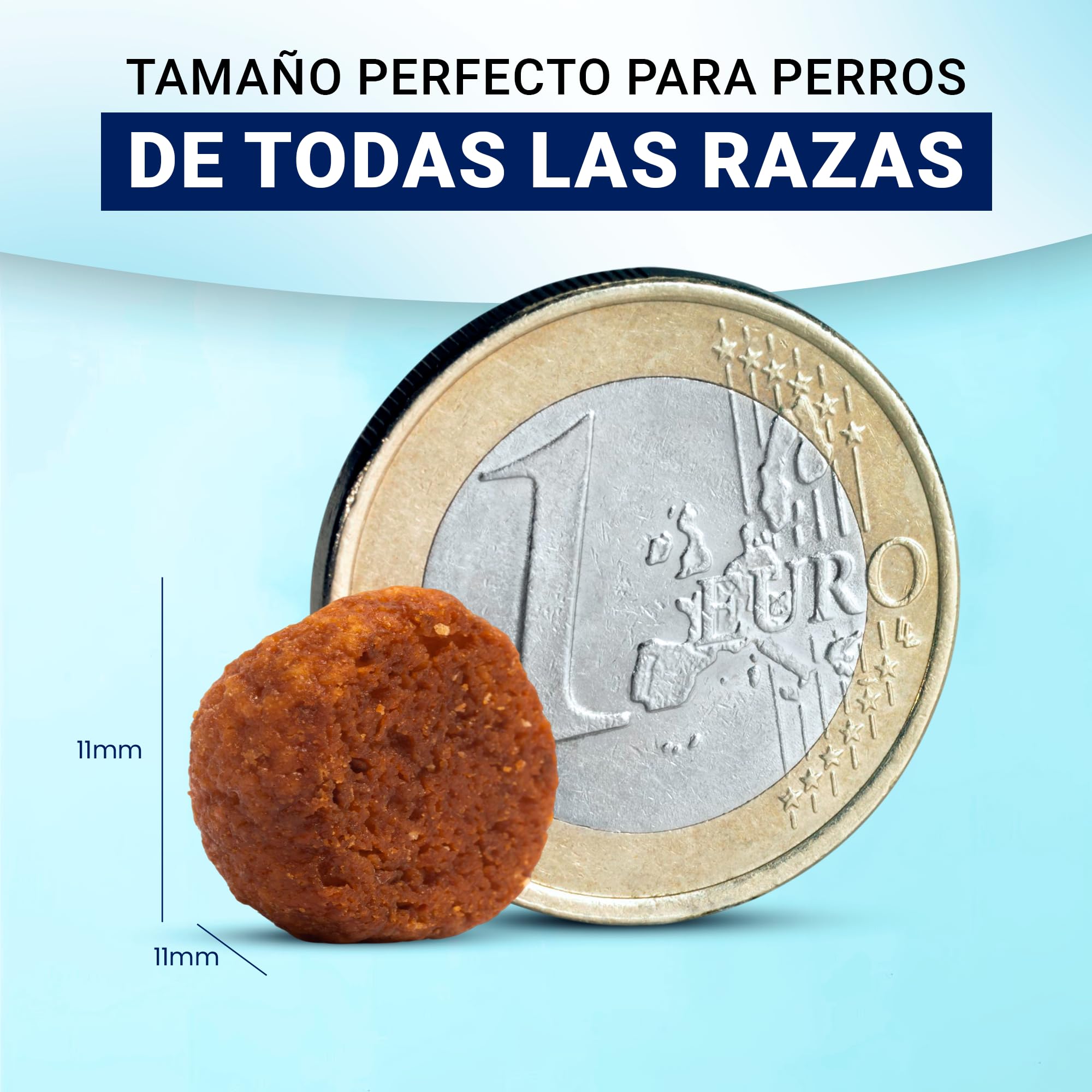 Yerbero Nature Senior Diet Pienso Hipoalergénico para Perros Mayores con Pescado, Pienso Bajo en Grasas para Mayores de 8 Años con Vitaminas, Comida Perros para el Cuidado Articulaciones Pack 2 de 3kg