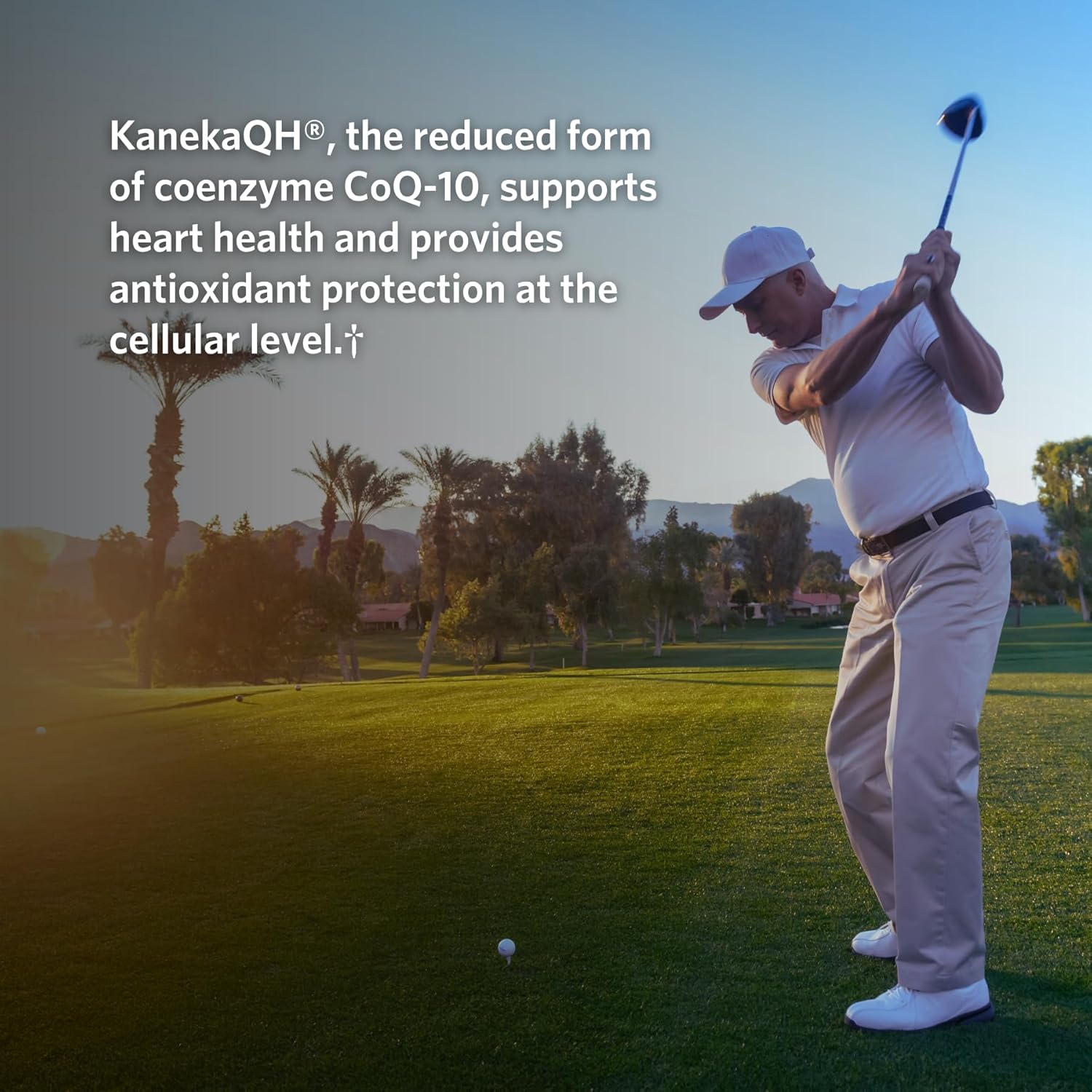 Cooper Complete - CoQ10 50 mg - CoEnzyme10 Ubiquinol Supplement - 60 Softgels Pack of 1