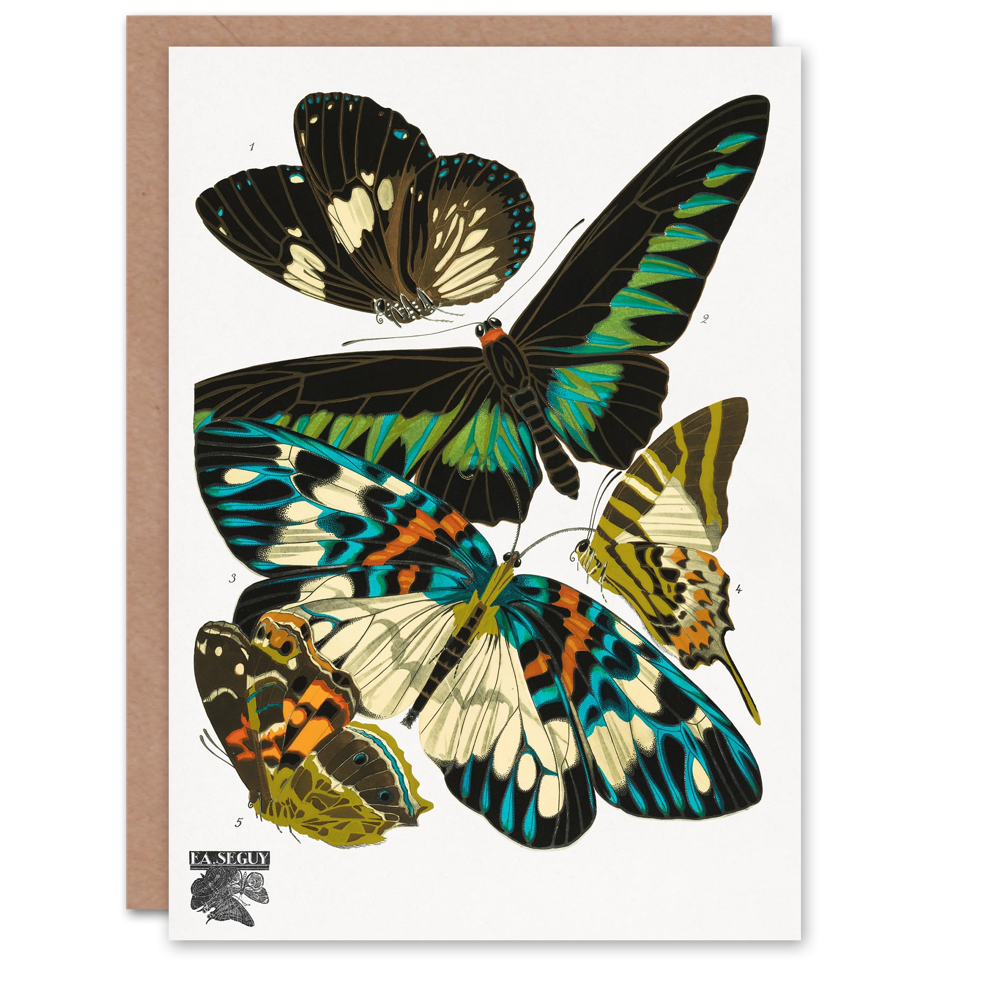 Artery8 Eugene Seguy Art Card Vintage Butterflies Greeting Card