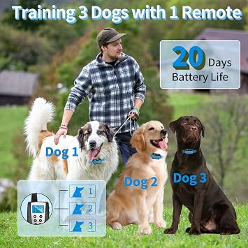 Dog Training Collar Receiver Replacement, Remote Control and Auto Bark Mode, Compatible with PD 526-TIO Model